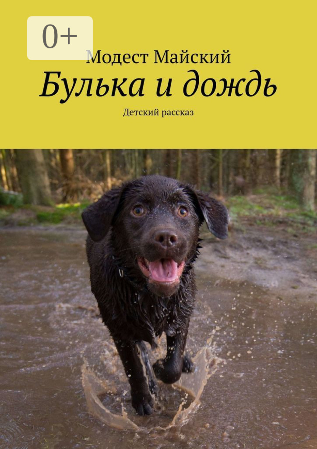 Обложка книги «Булька и дождь. Детский рассказ»