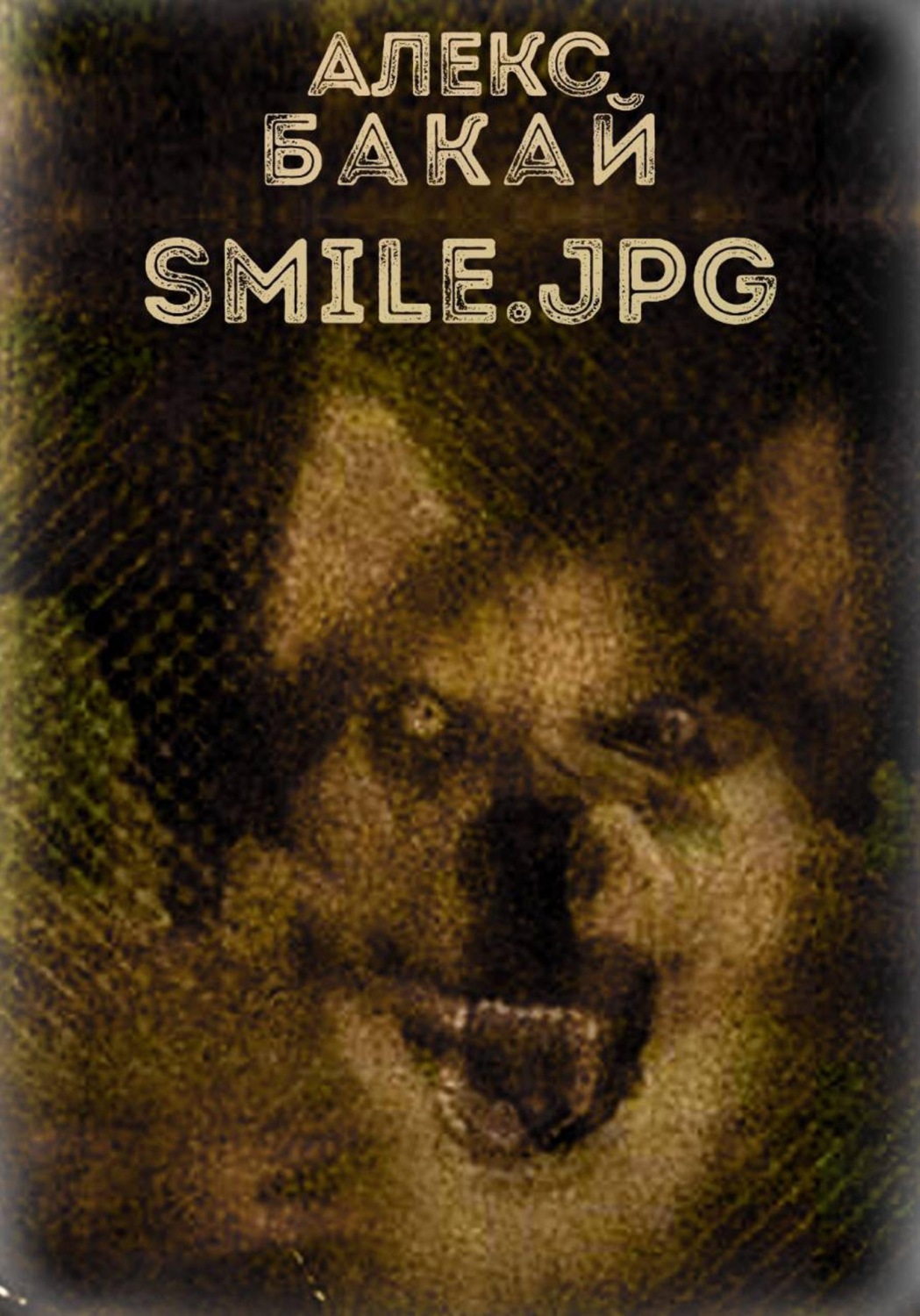 Обложка книги «Smile.jpg»