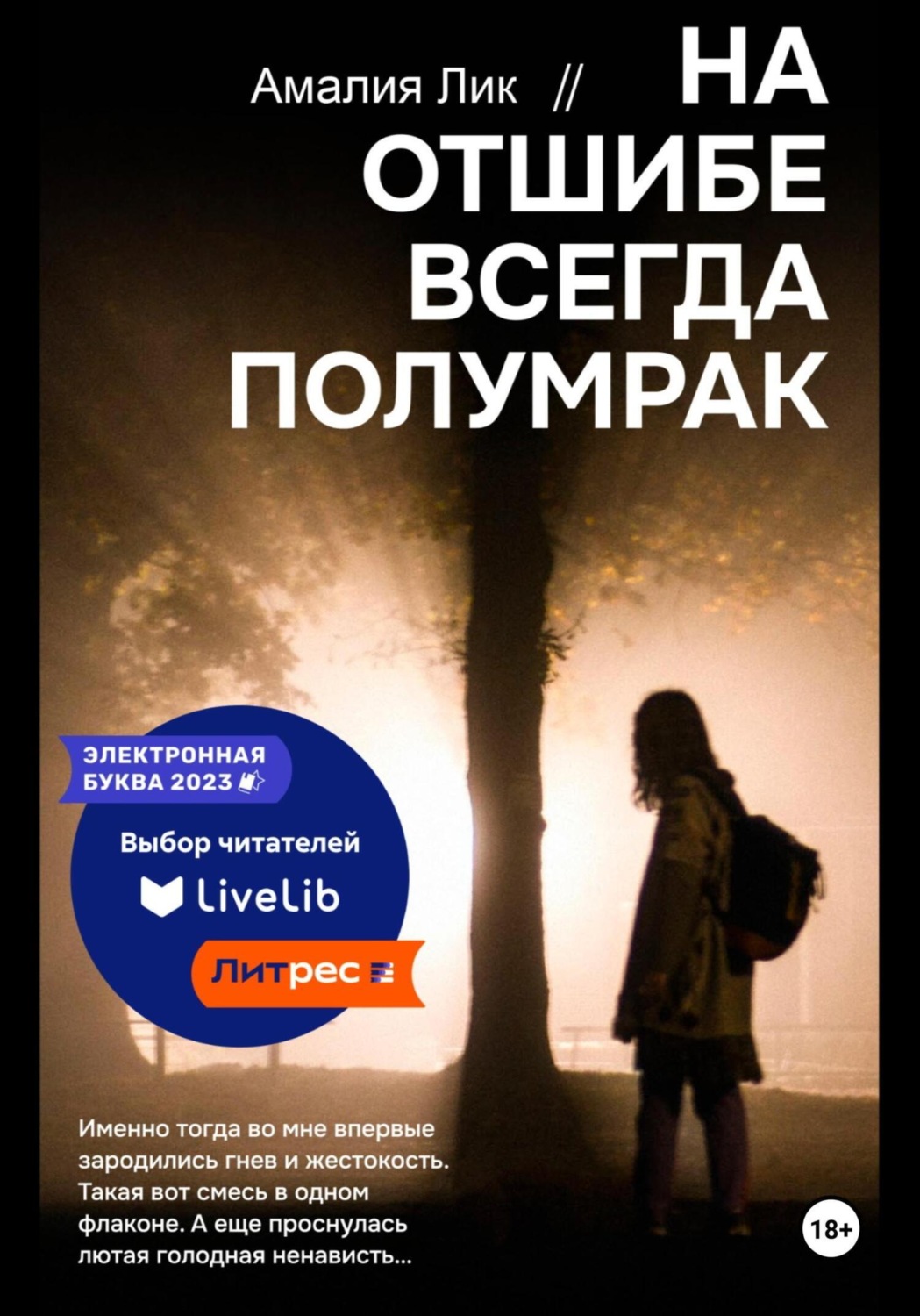 Обложка книги «На отшибе всегда полумрак»
