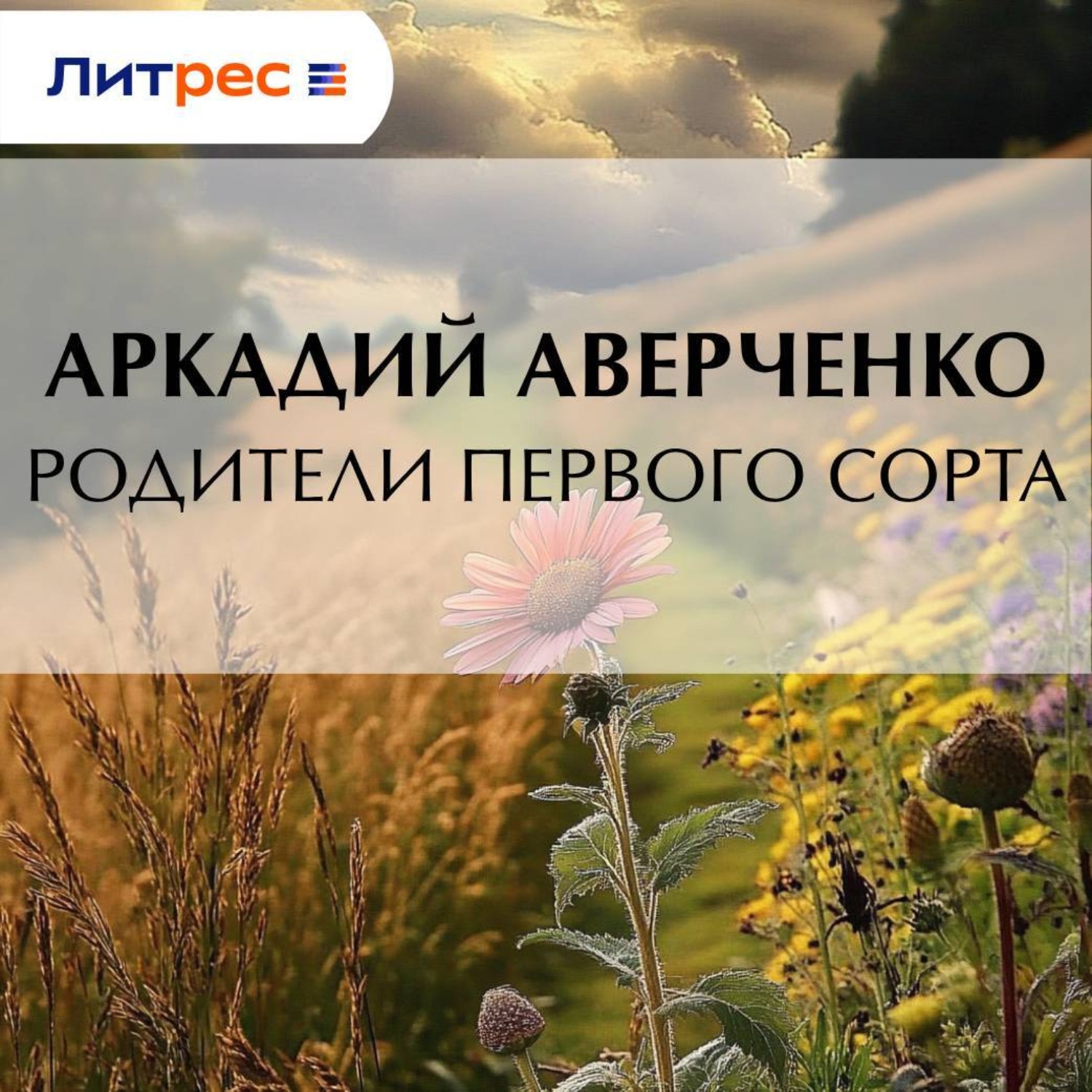 Обложка книги «Родители первого сорта»