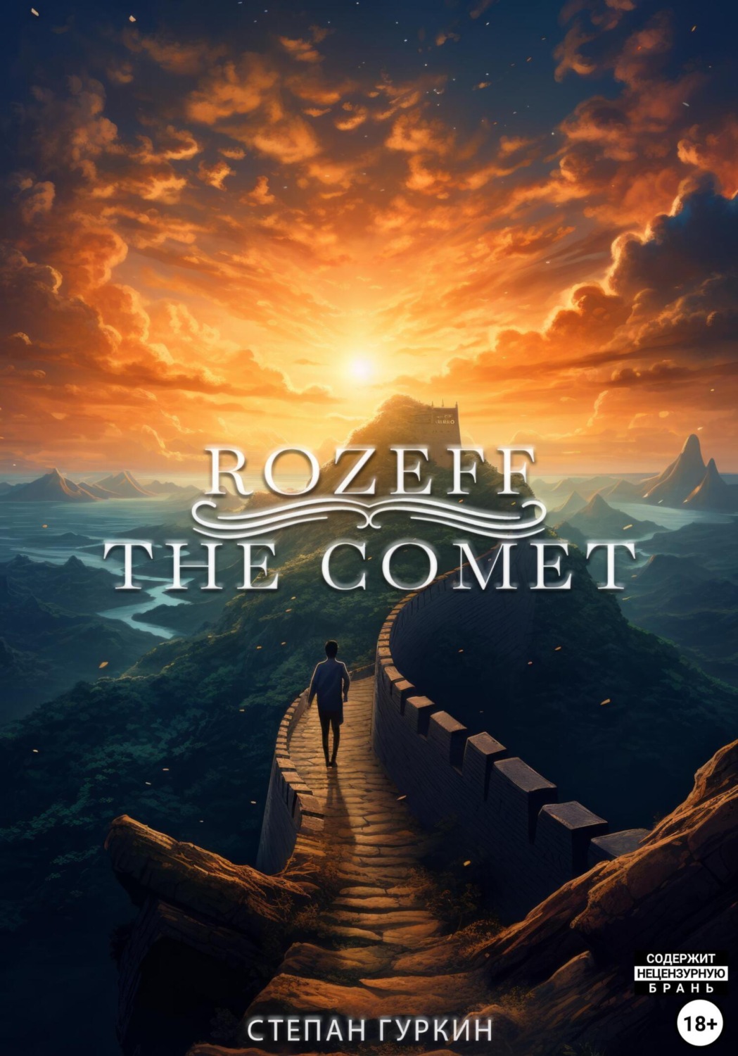 Обложка книги «Rozeff: The comet»