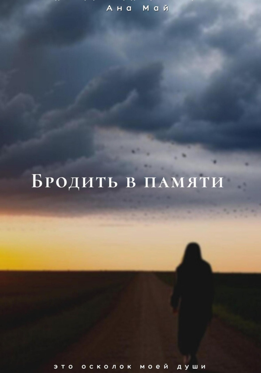 Обложка книги «Бродить в памяти»