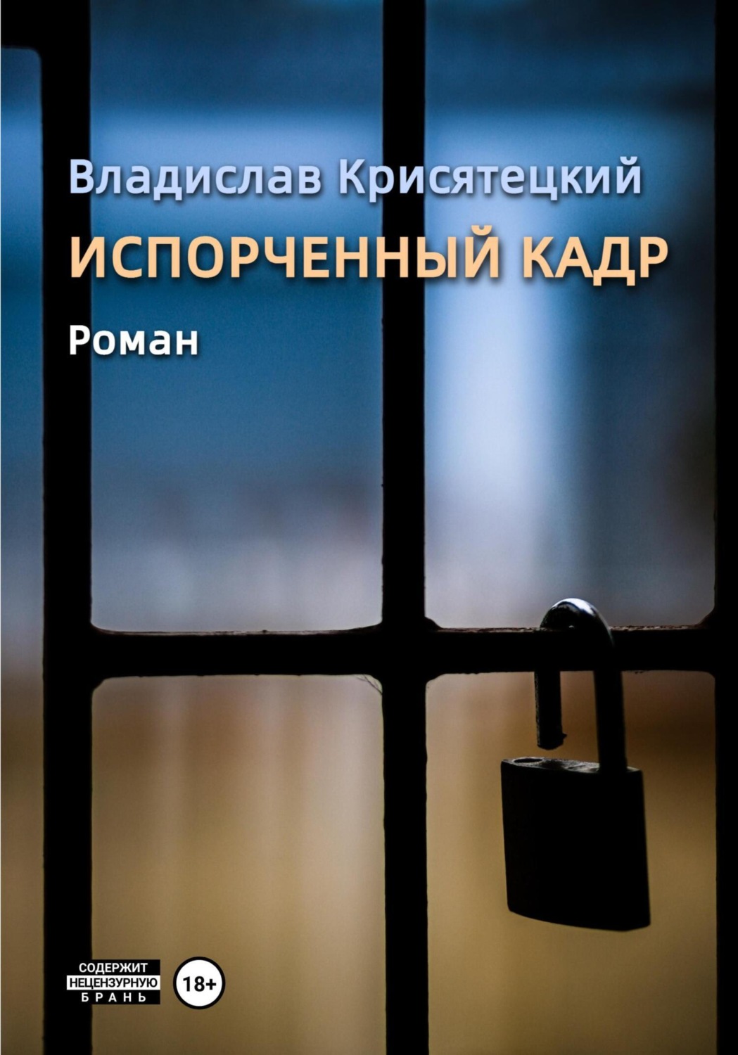 Обложка книги «Испорченный кадр»