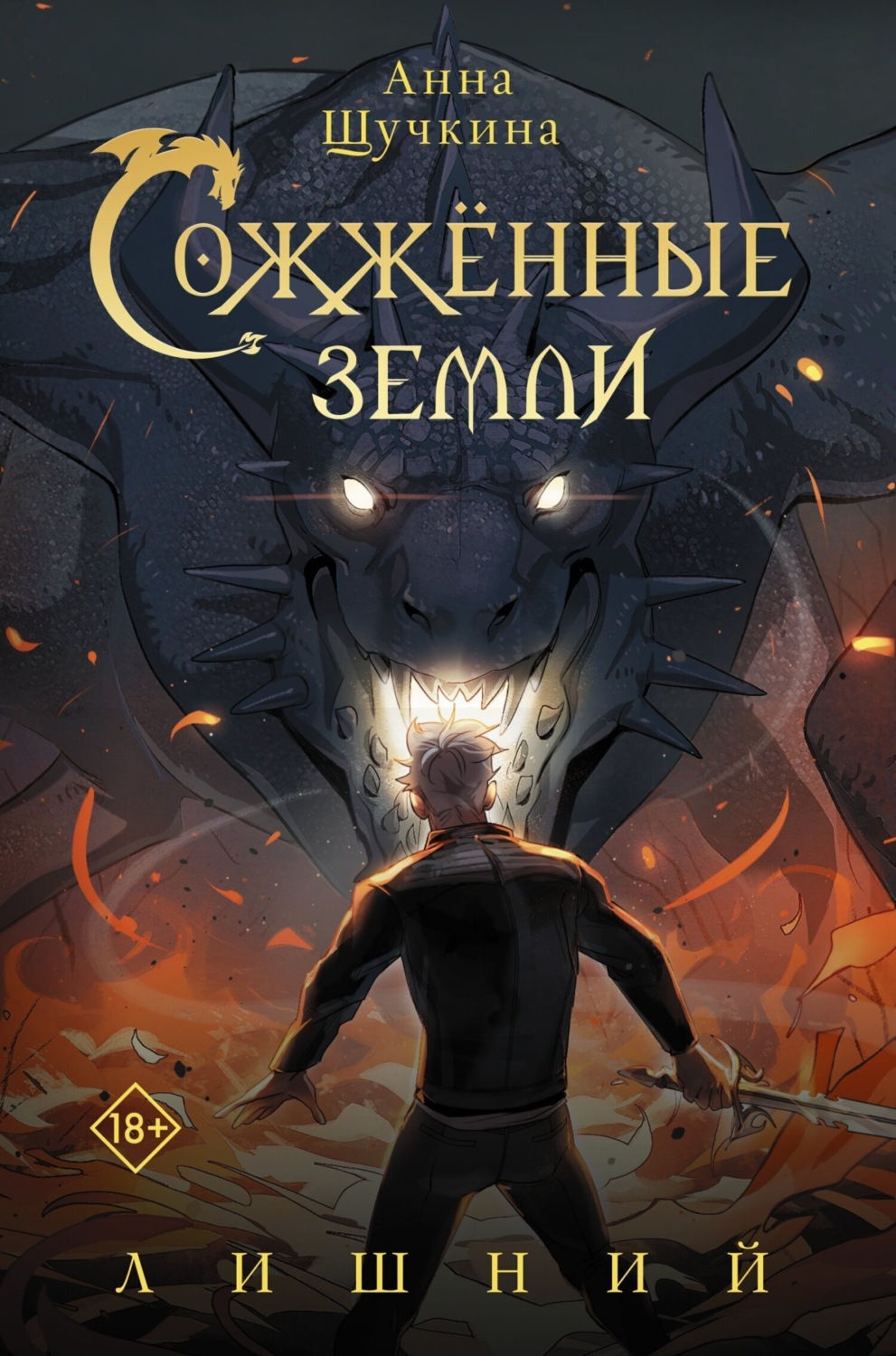 Обложка книги «Сожженные земли. Лишний»