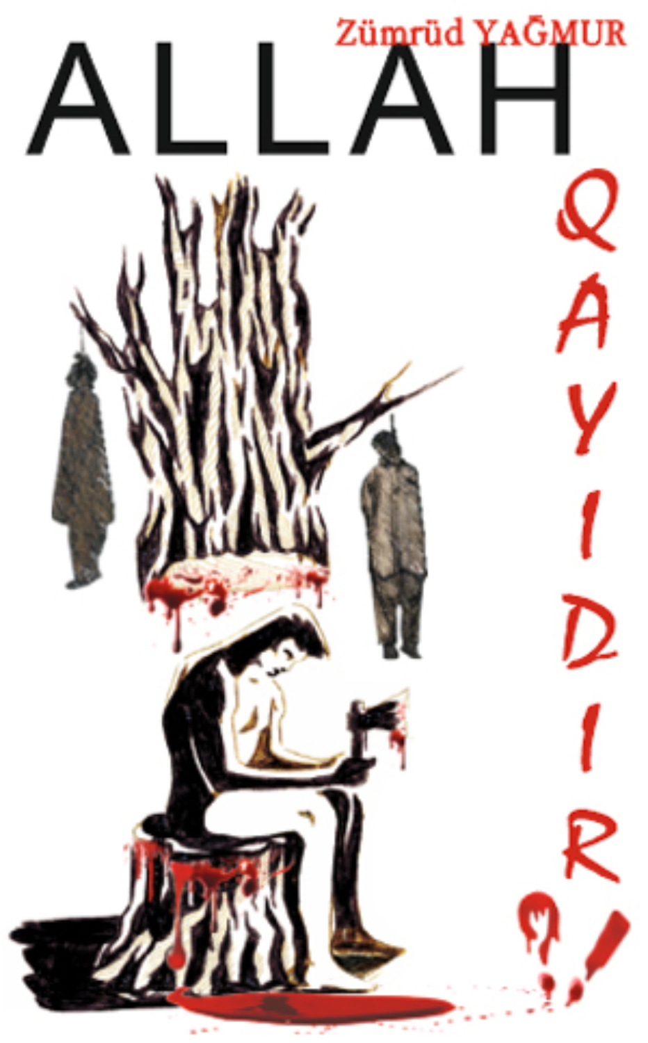 Обложка книги «Allah qayıdır»