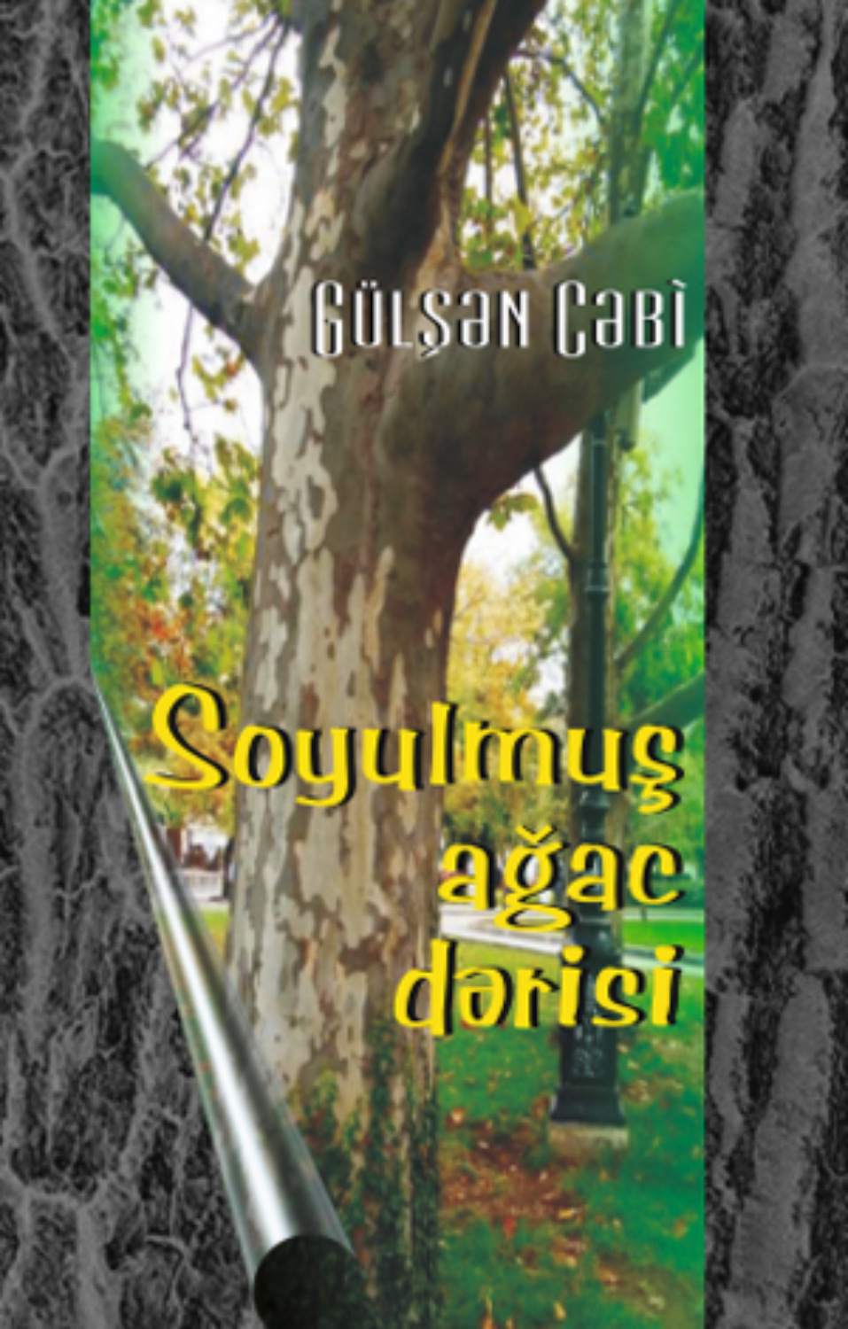 Обложка книги «Soyulmuş ağac dərisi»