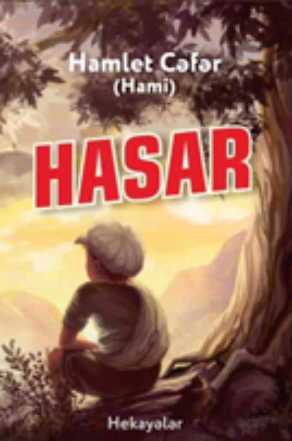 Обложка книги «Hasar»