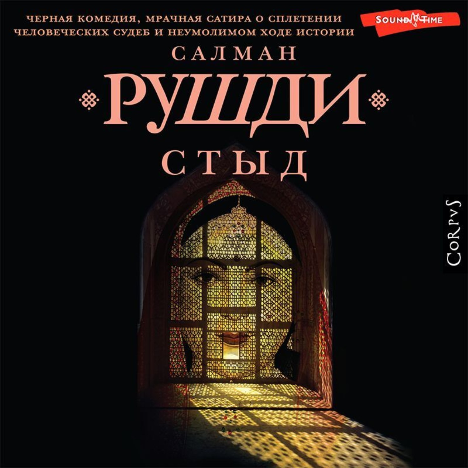 Обложка книги «Стыд»