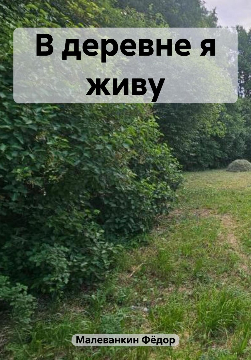 Обложка книги «В деревне я живу»