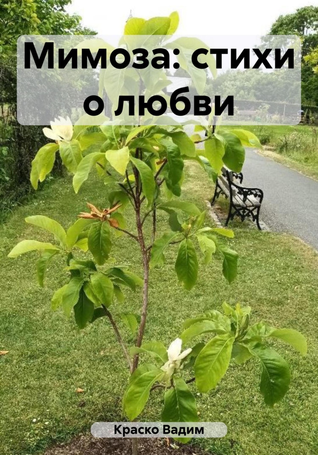 Обложка книги «Мимоза: стихи о любви»