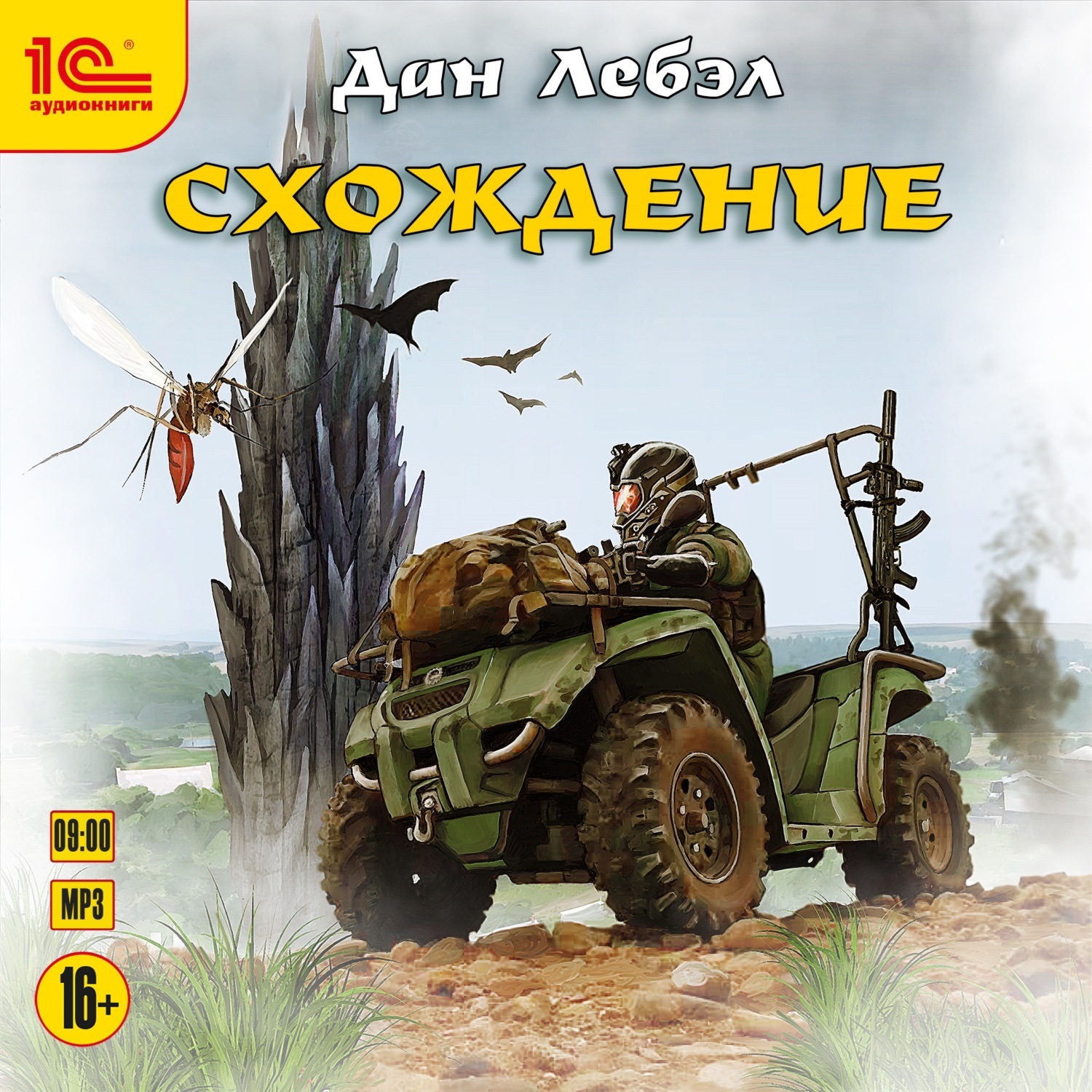 Обложка книги «Схождение»