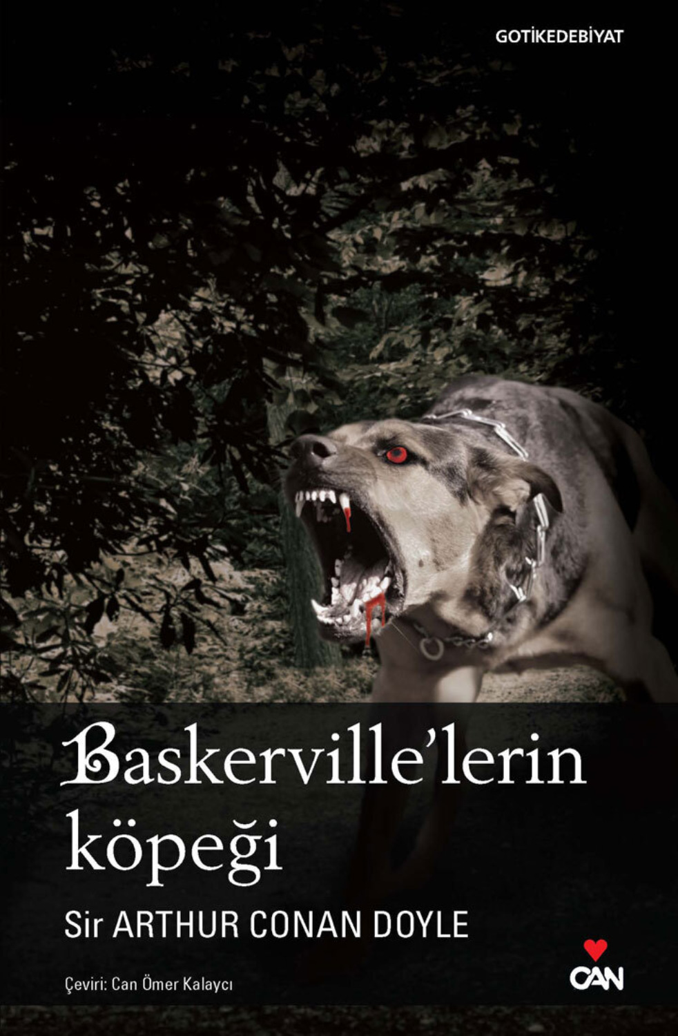 Обложка книги «Baskerville’lerin Köpeği»