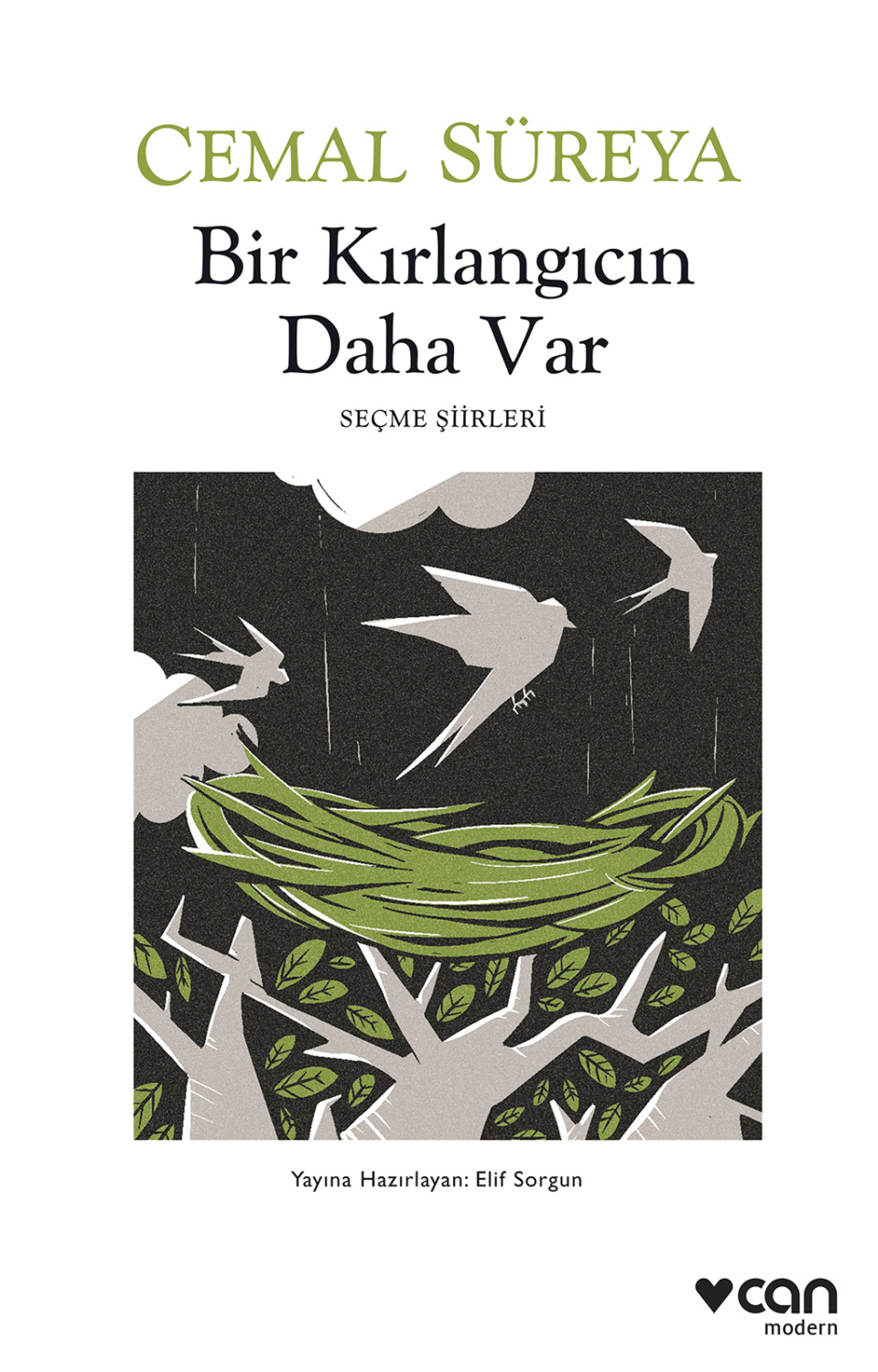 Обложка книги «Bir Kırlangıcın Daha Var»