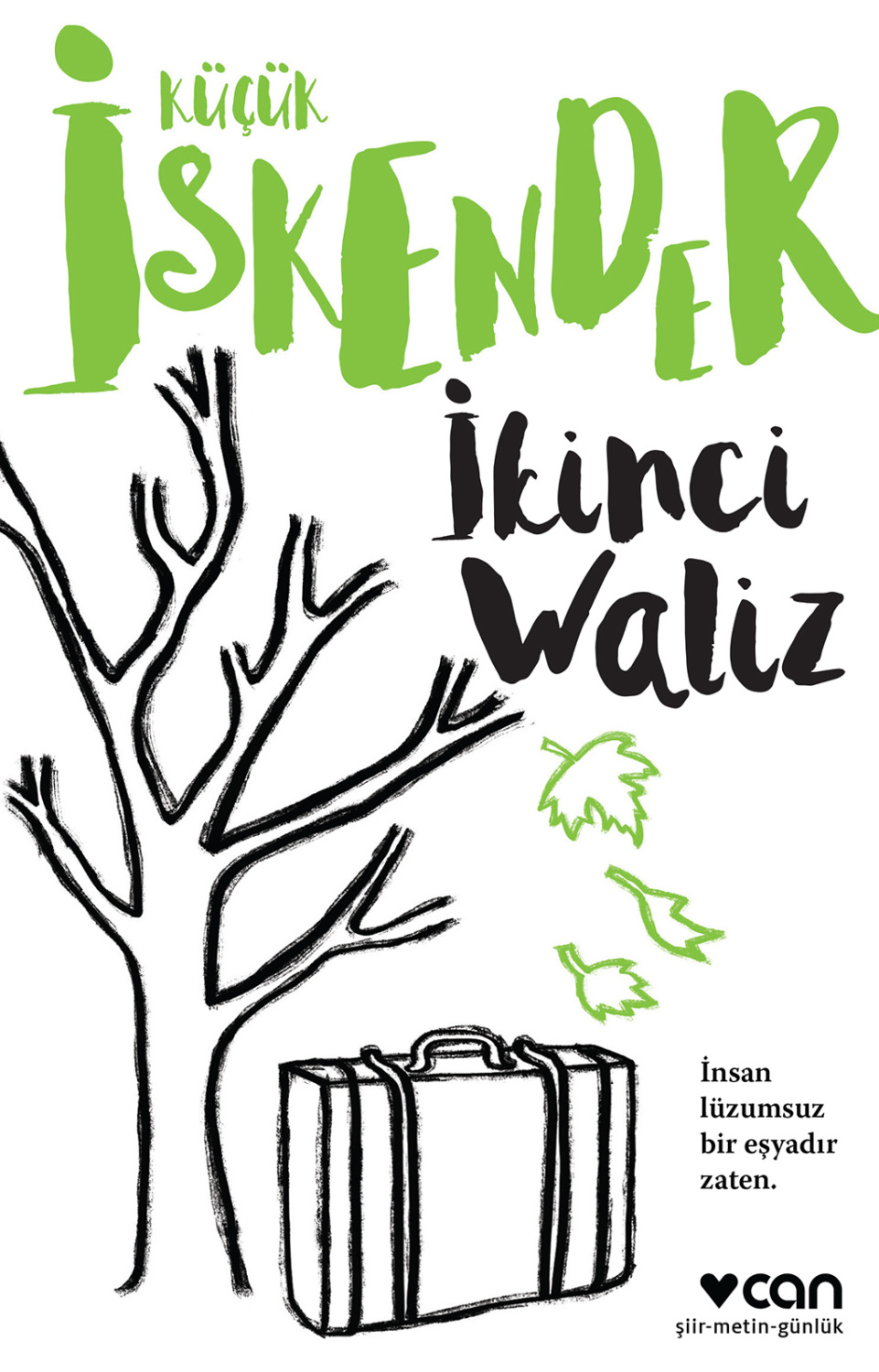 Обложка книги «İkinci Waliz»