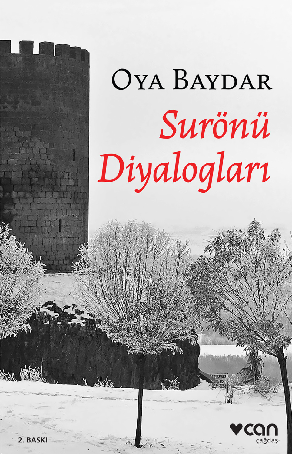 Обложка книги «Surönü Diyalogları»