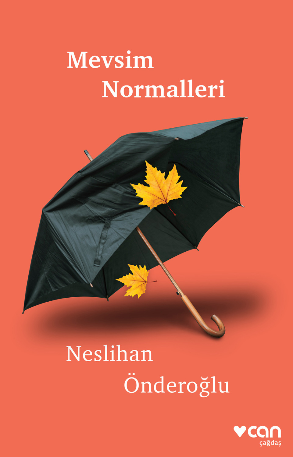 Обложка книги «Mevsim Normalleri»