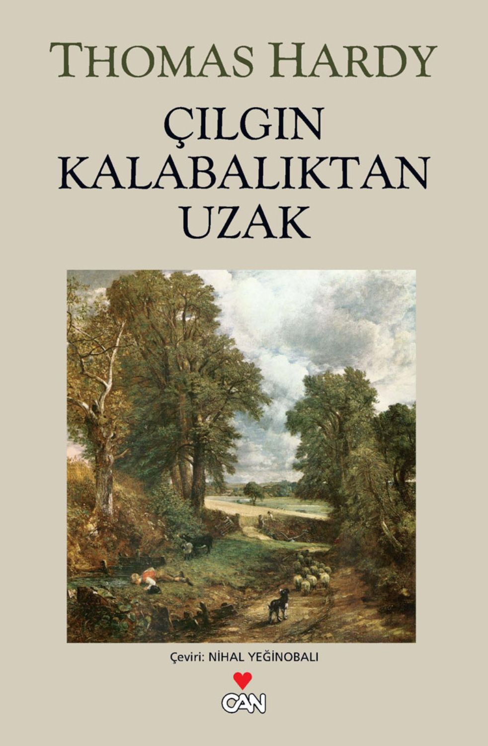 Обложка книги «Çıplak ve Yalnız»