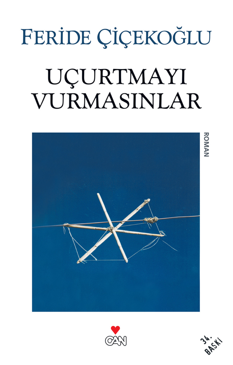 Обложка книги «Uçurtmayı Vurmasınlar»