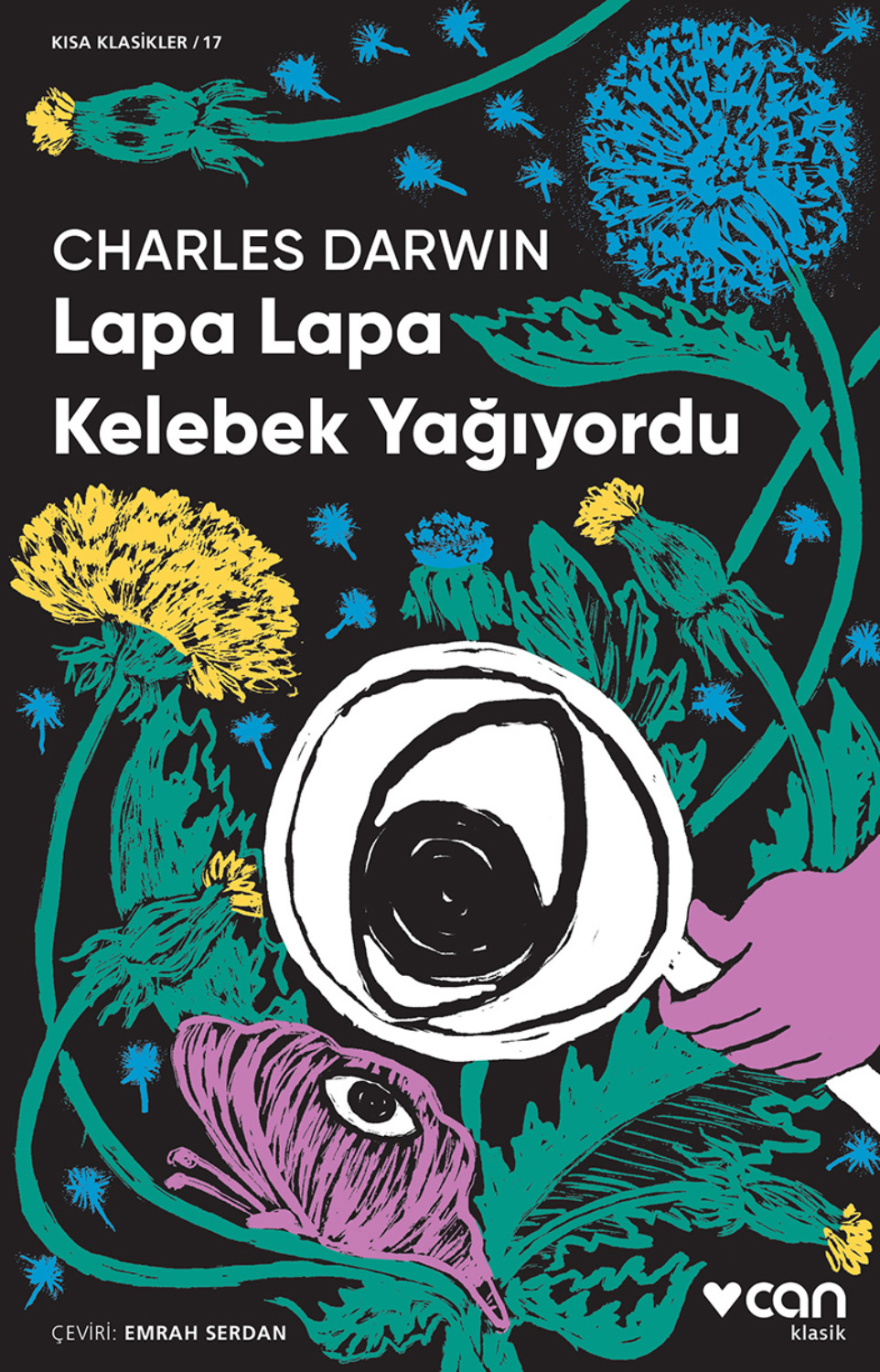 Обложка книги «Lapa Lapa Kelebek Yağıyordu»