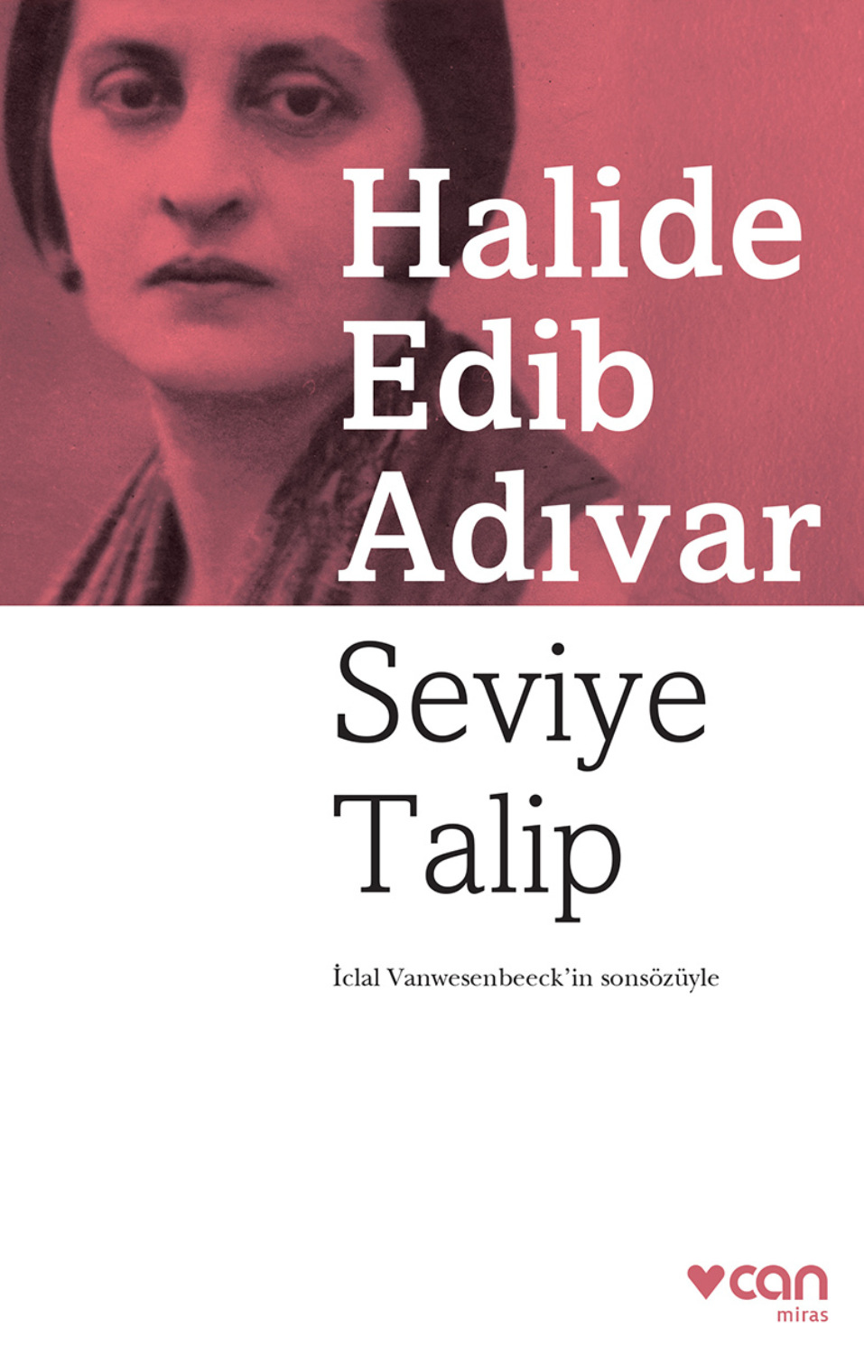 Обложка книги «Seviye Talip»