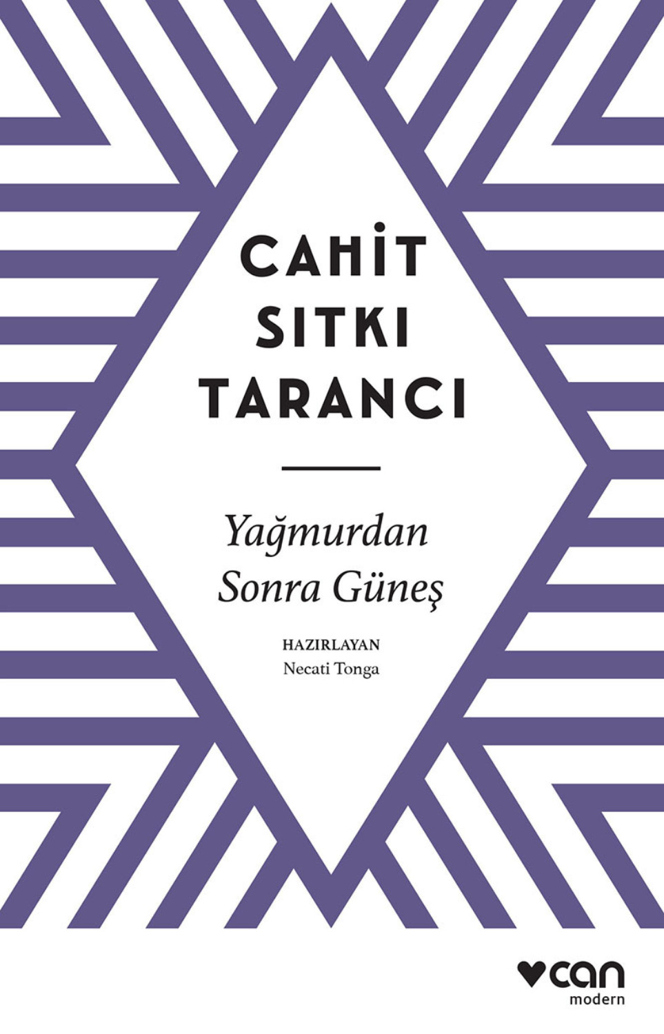 Обложка книги «Yağmurdan Sonra Güneş»