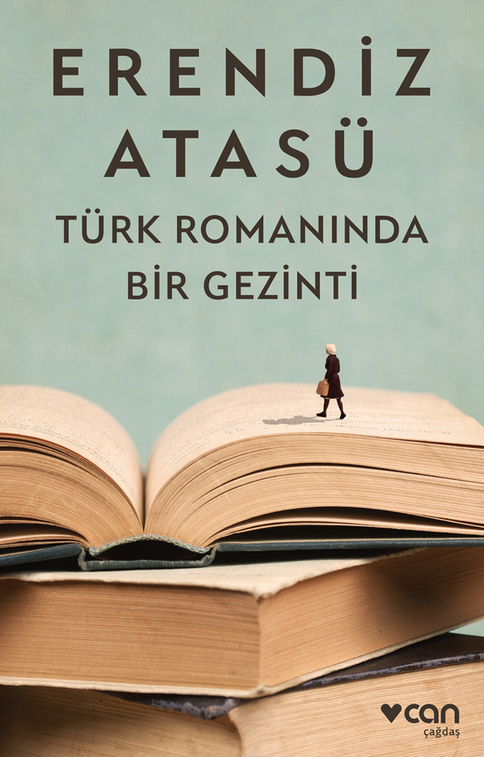 Обложка книги «Türk Romanında Bir Gezinti»