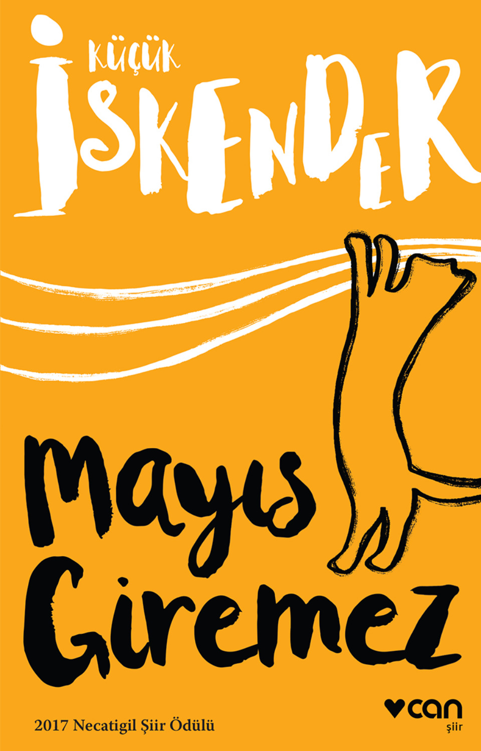 Обложка книги «Mayıs Giremez»