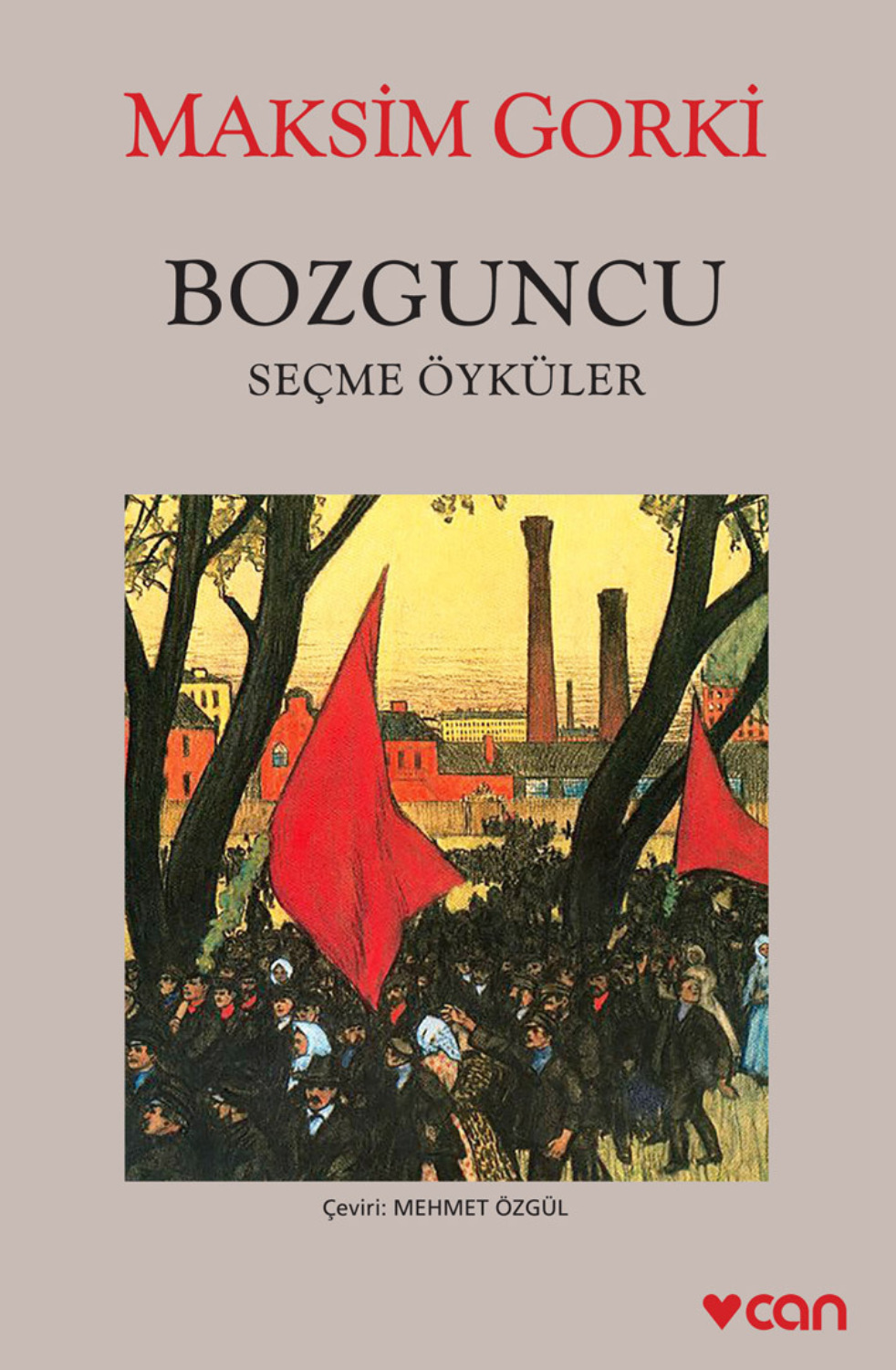 Обложка книги «Bozguncu»