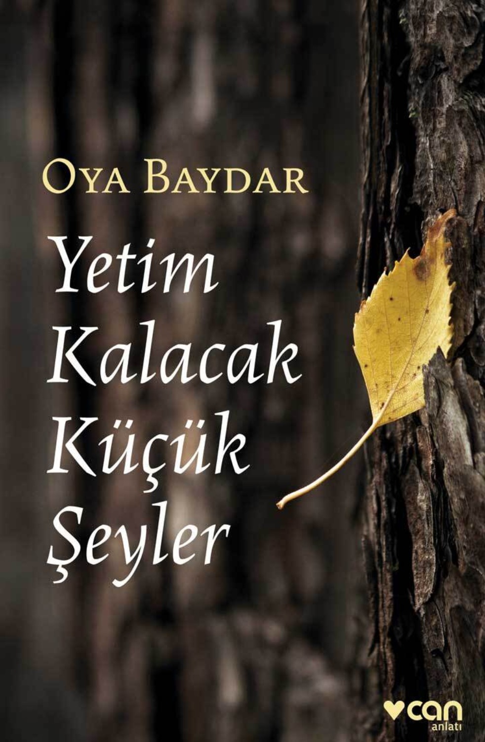 Обложка книги «Yetim Kalacak Küçük Şeyler»