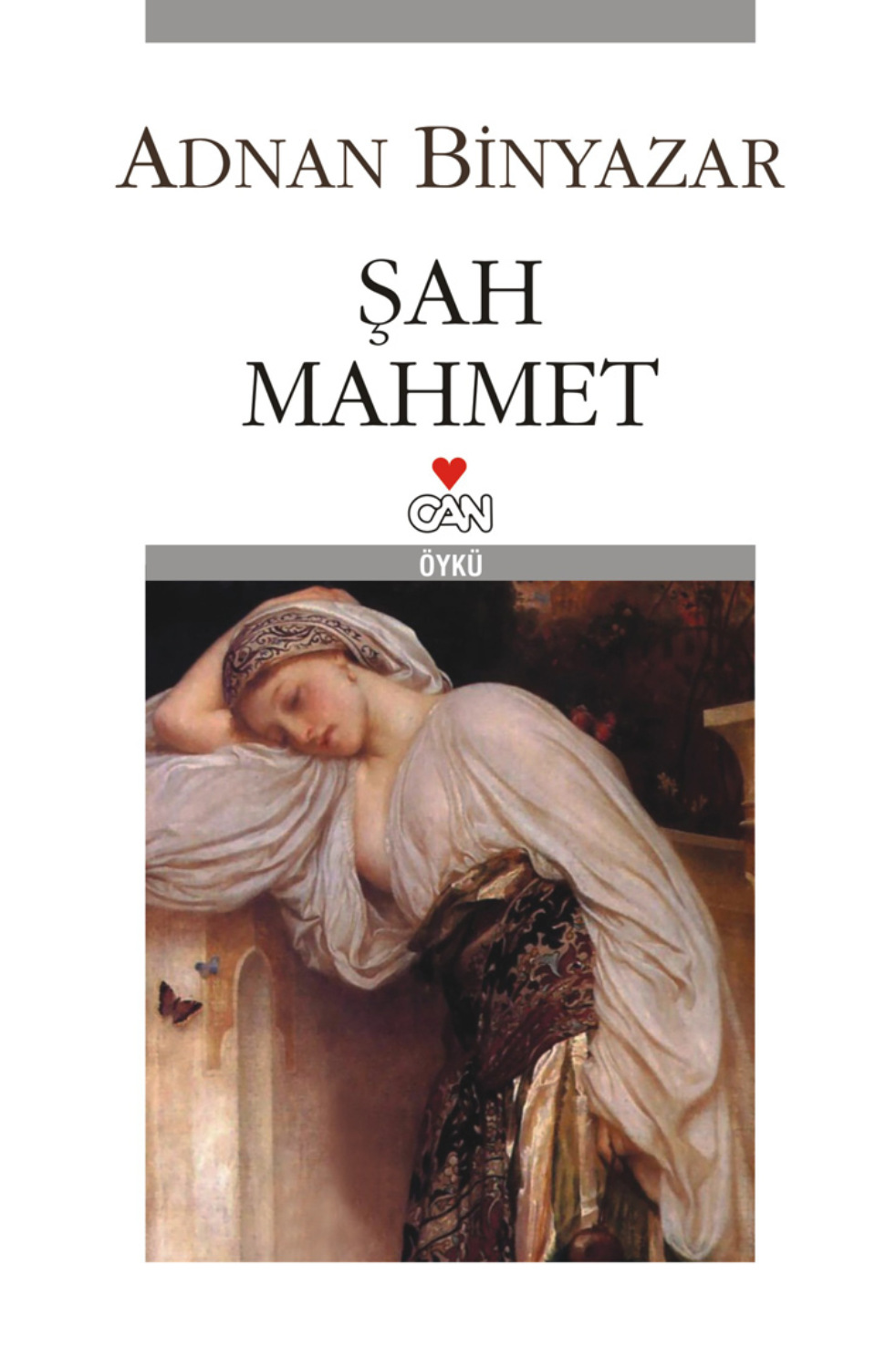 Обложка книги «Şah Mahmet»