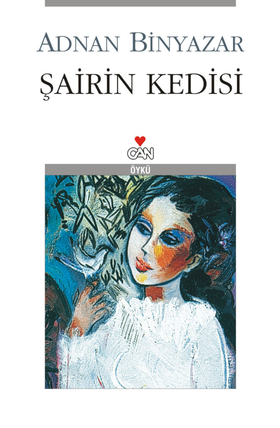Обложка книги «Şairin Kedisi»