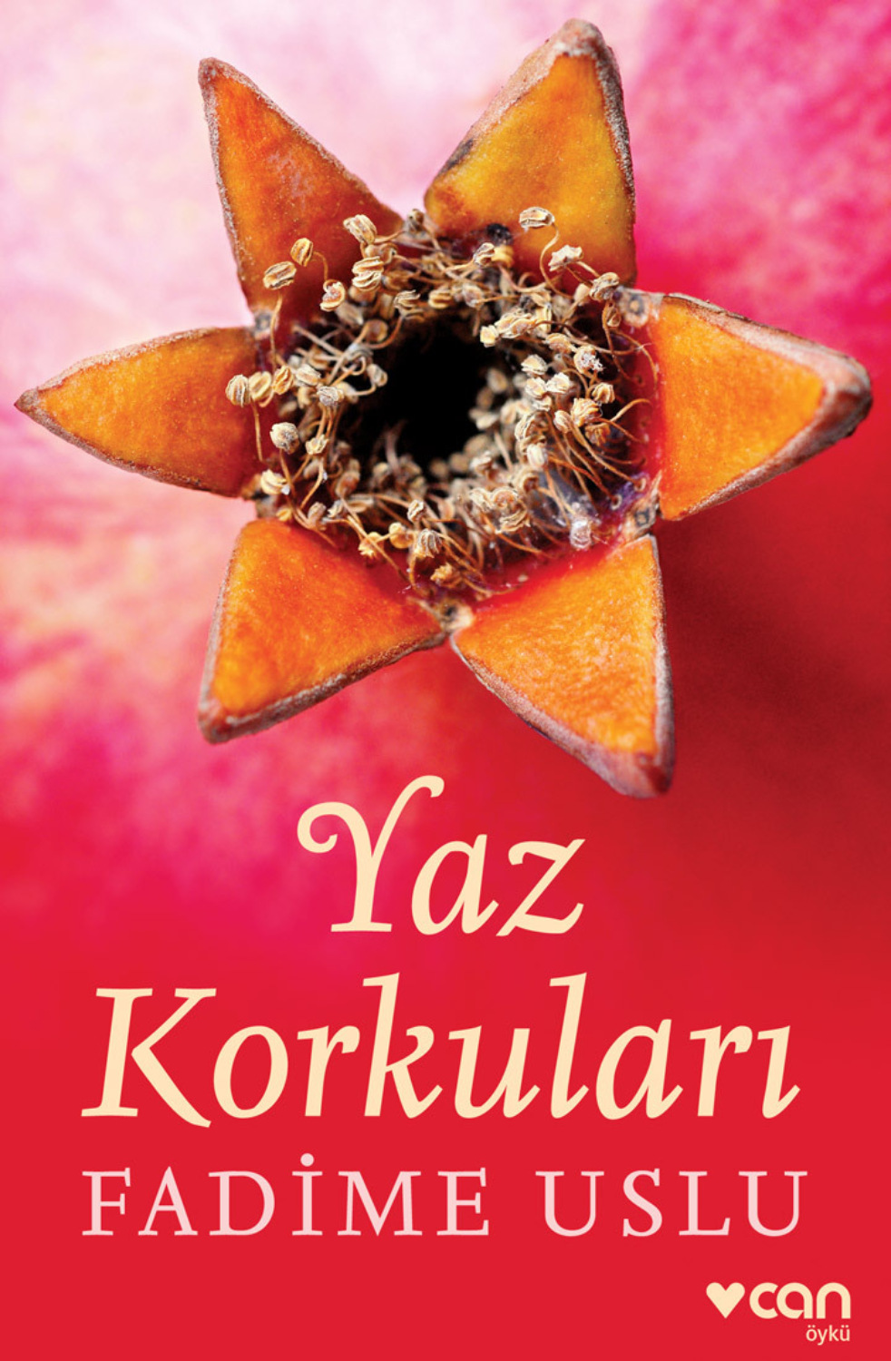 Обложка книги «Yaz Korkuları»