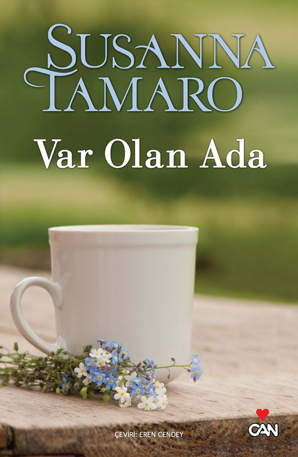 Обложка книги «Var Olan Ada»