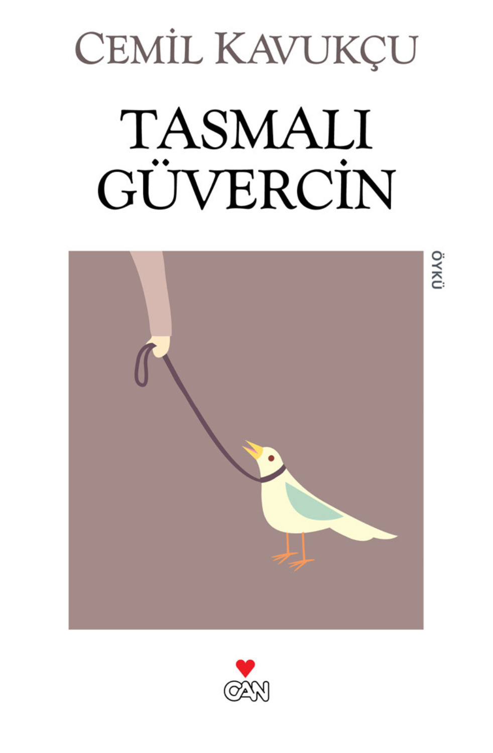 Обложка книги «Tasmalı Güvercin»