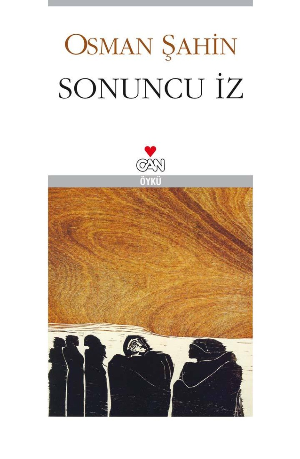Обложка книги «Sonuncu İz»