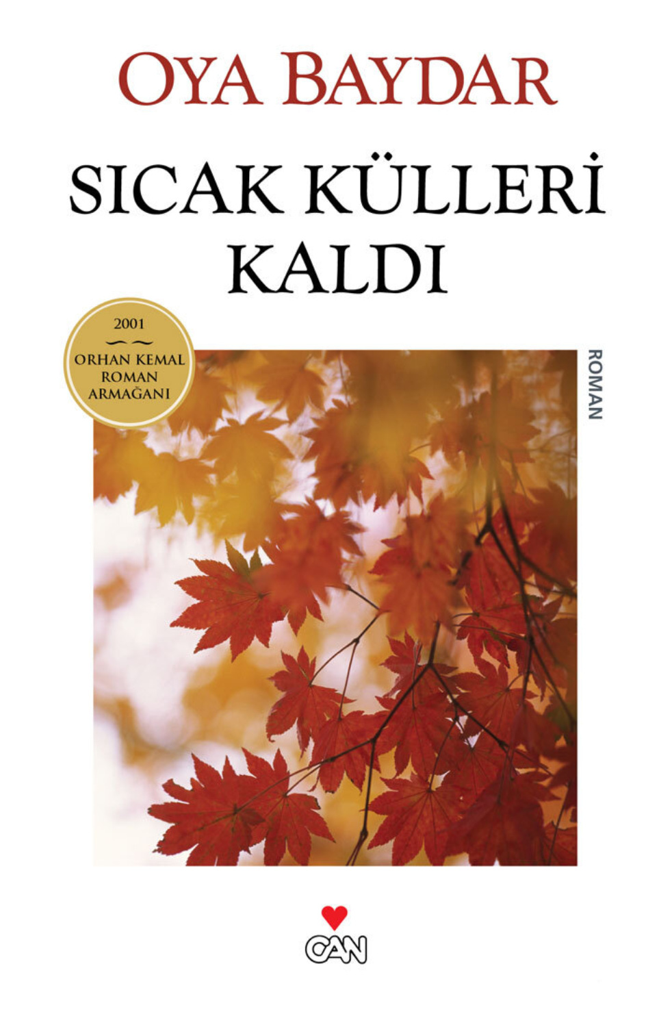 Обложка книги «Sıcak Külleri Kaldı»