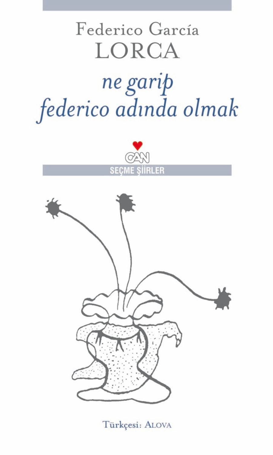 Обложка книги «Ne Garip Federico Adında Olmak»