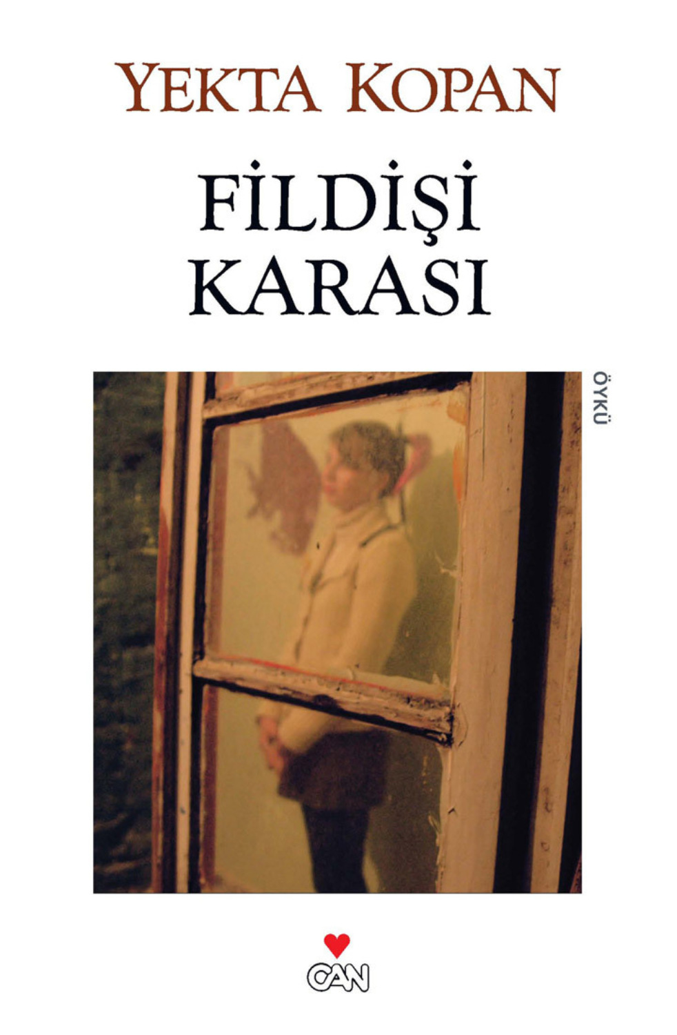 Обложка книги «Fildişi Karası»
