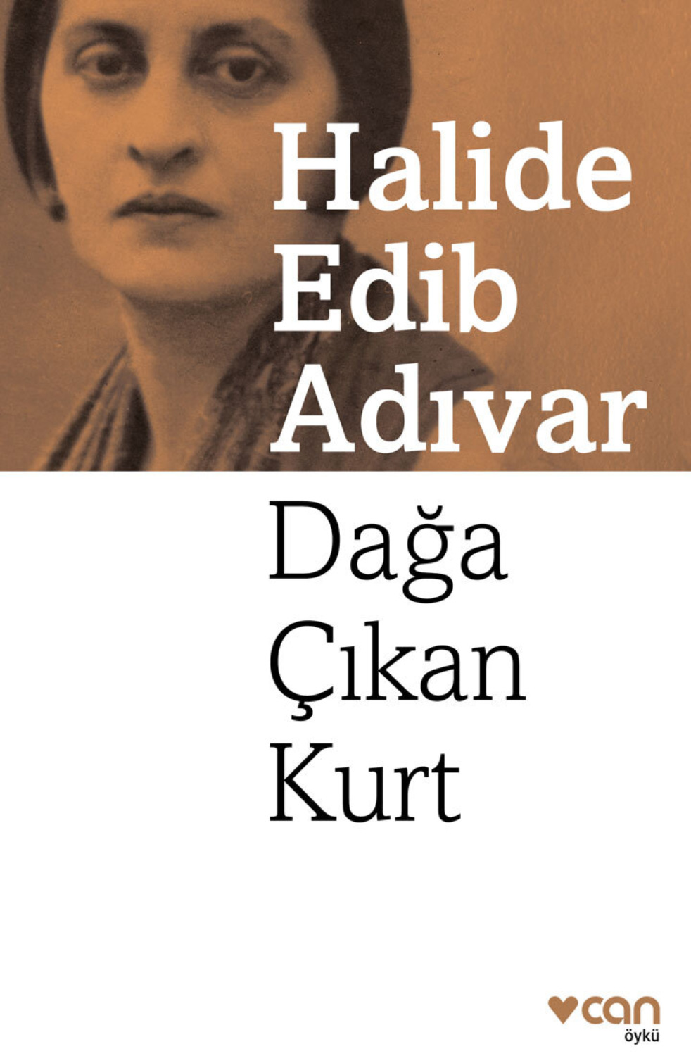 Обложка книги «Dağa Çıkan Kurt»