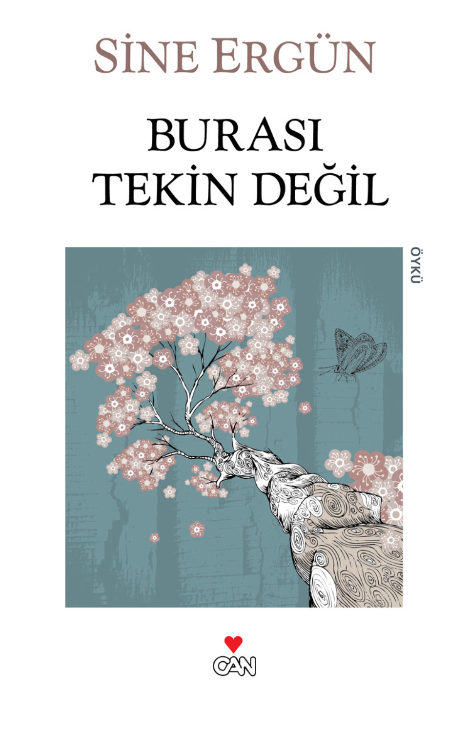 Обложка книги «Burası Tekin Değil»