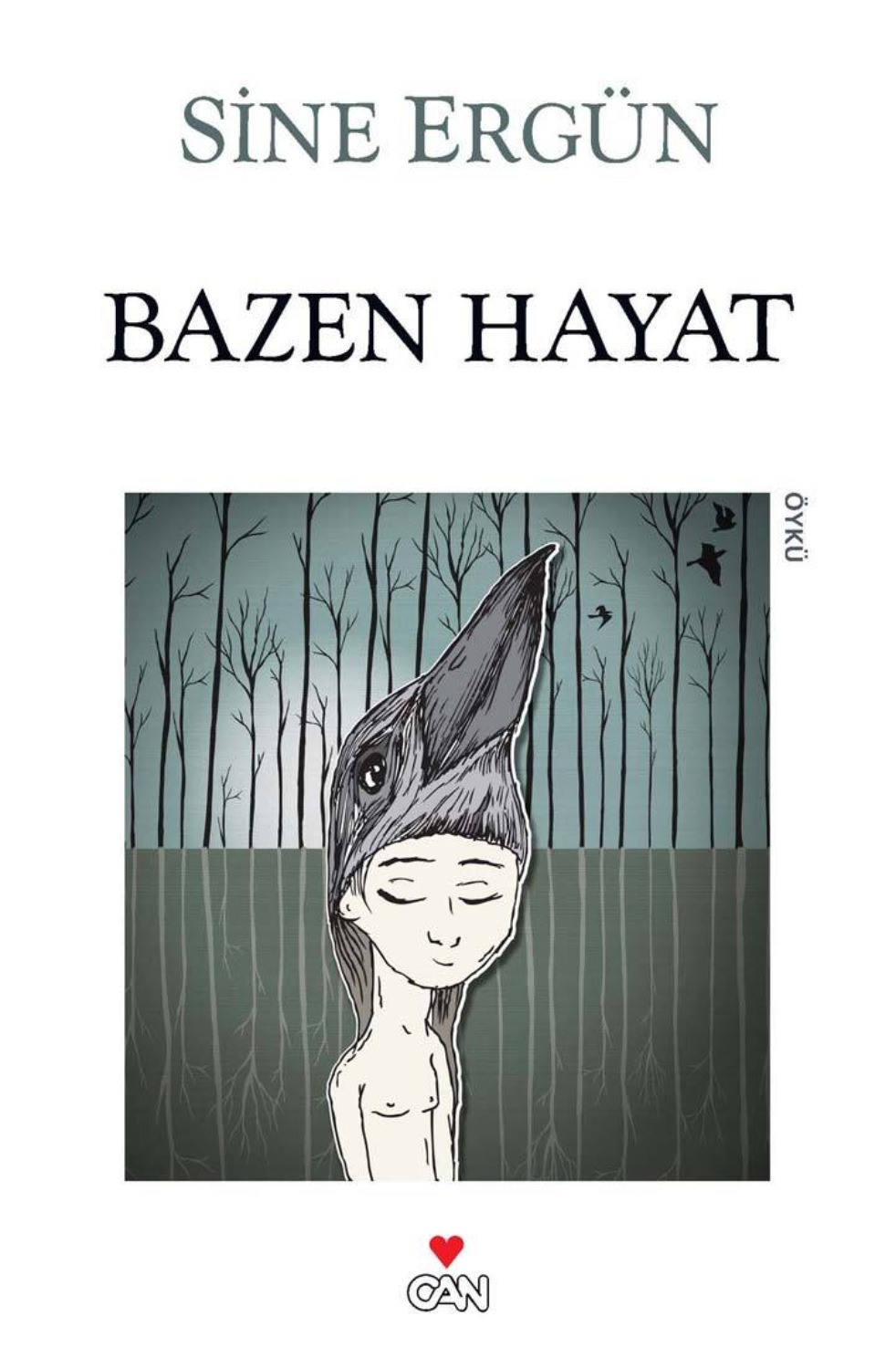 Обложка книги «Bazen Hayat»