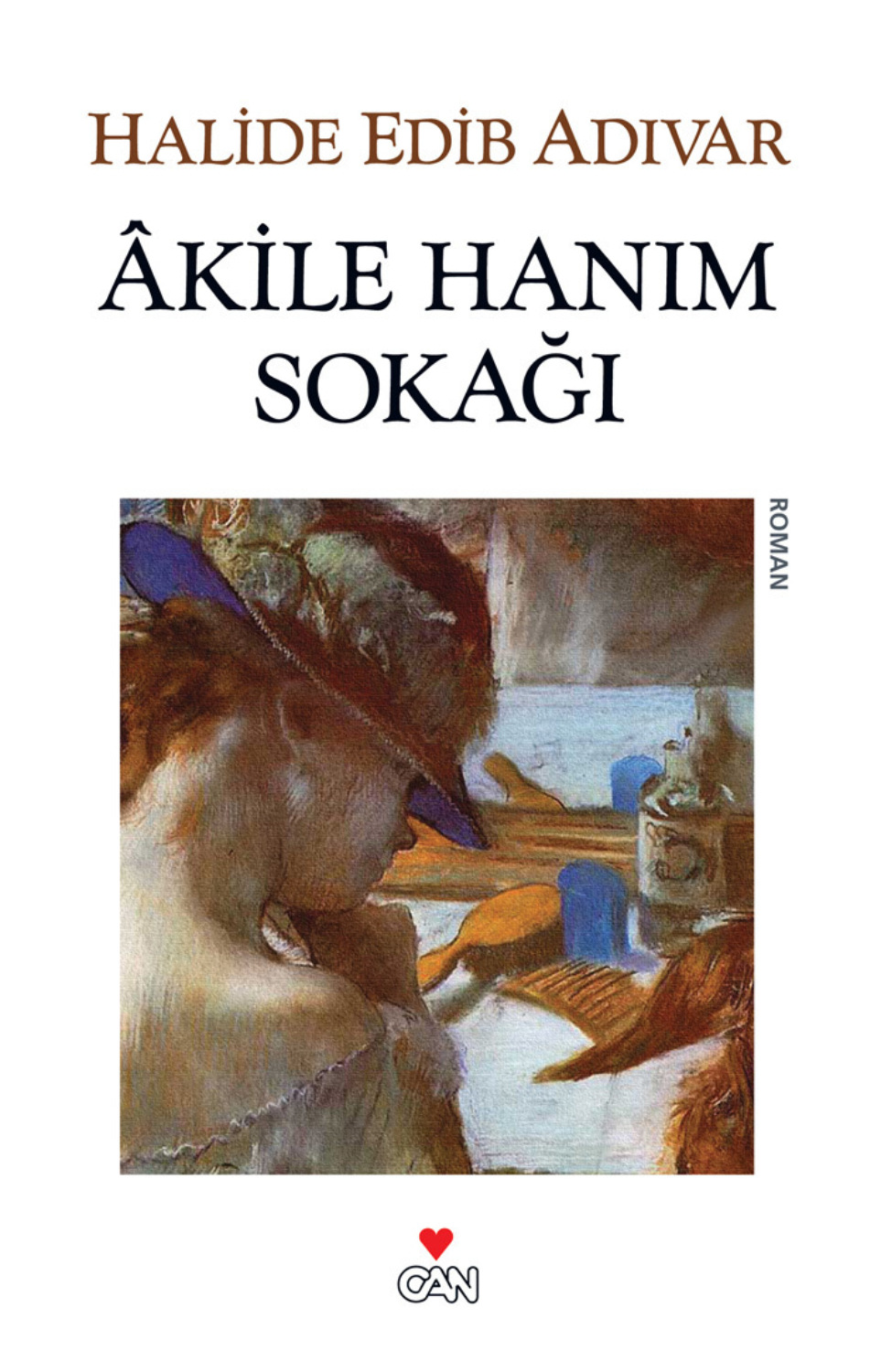 Обложка книги «Akile Hanım Sokağı»