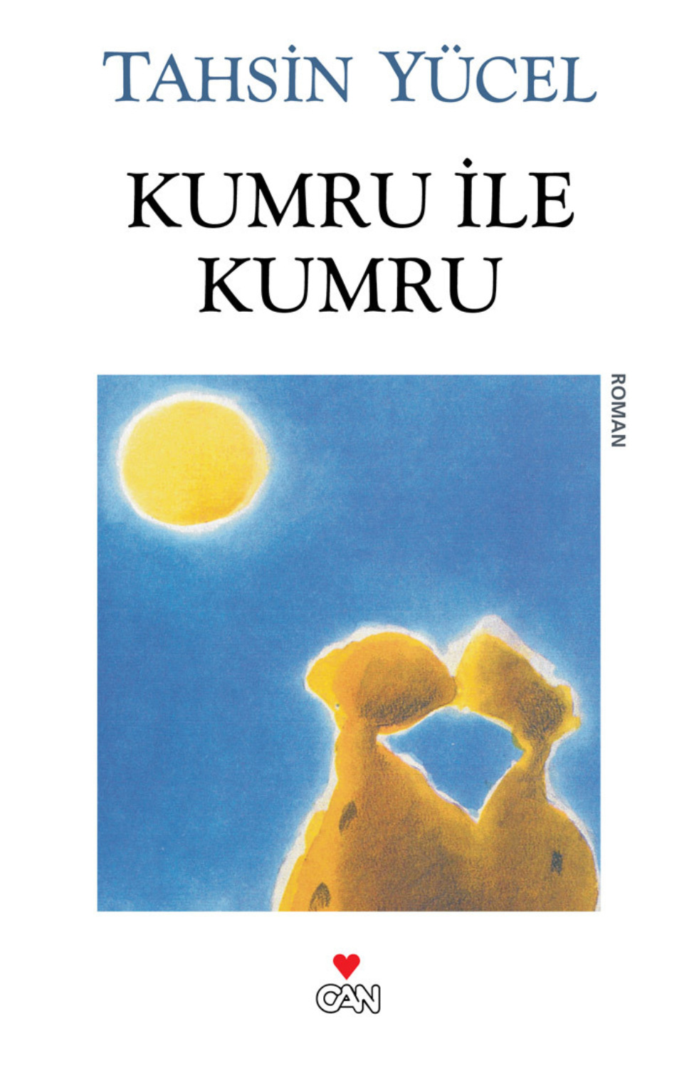 Обложка книги «Kumru ile Kumru»