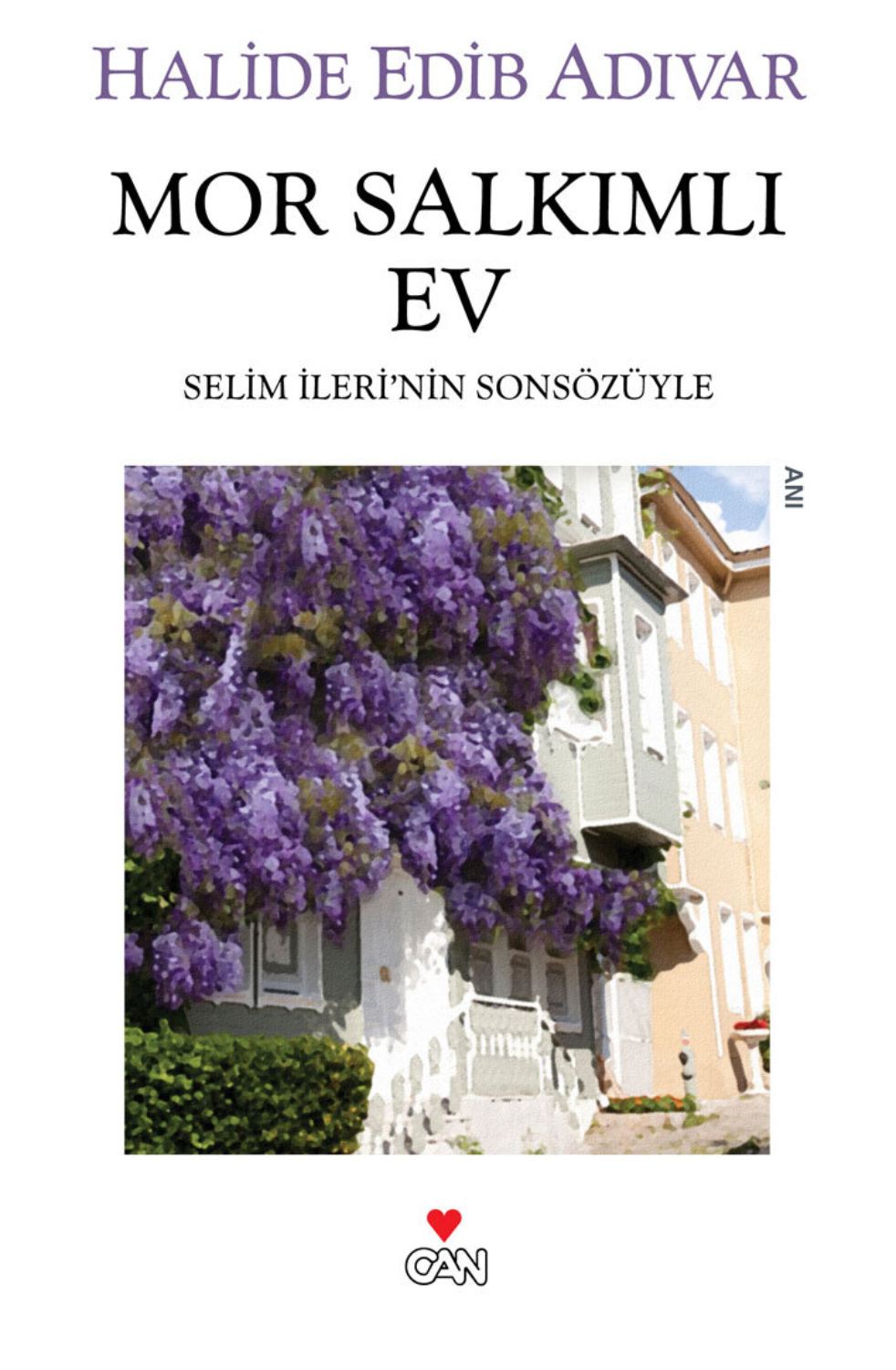 Обложка книги «Mor Salkımlı Ev»