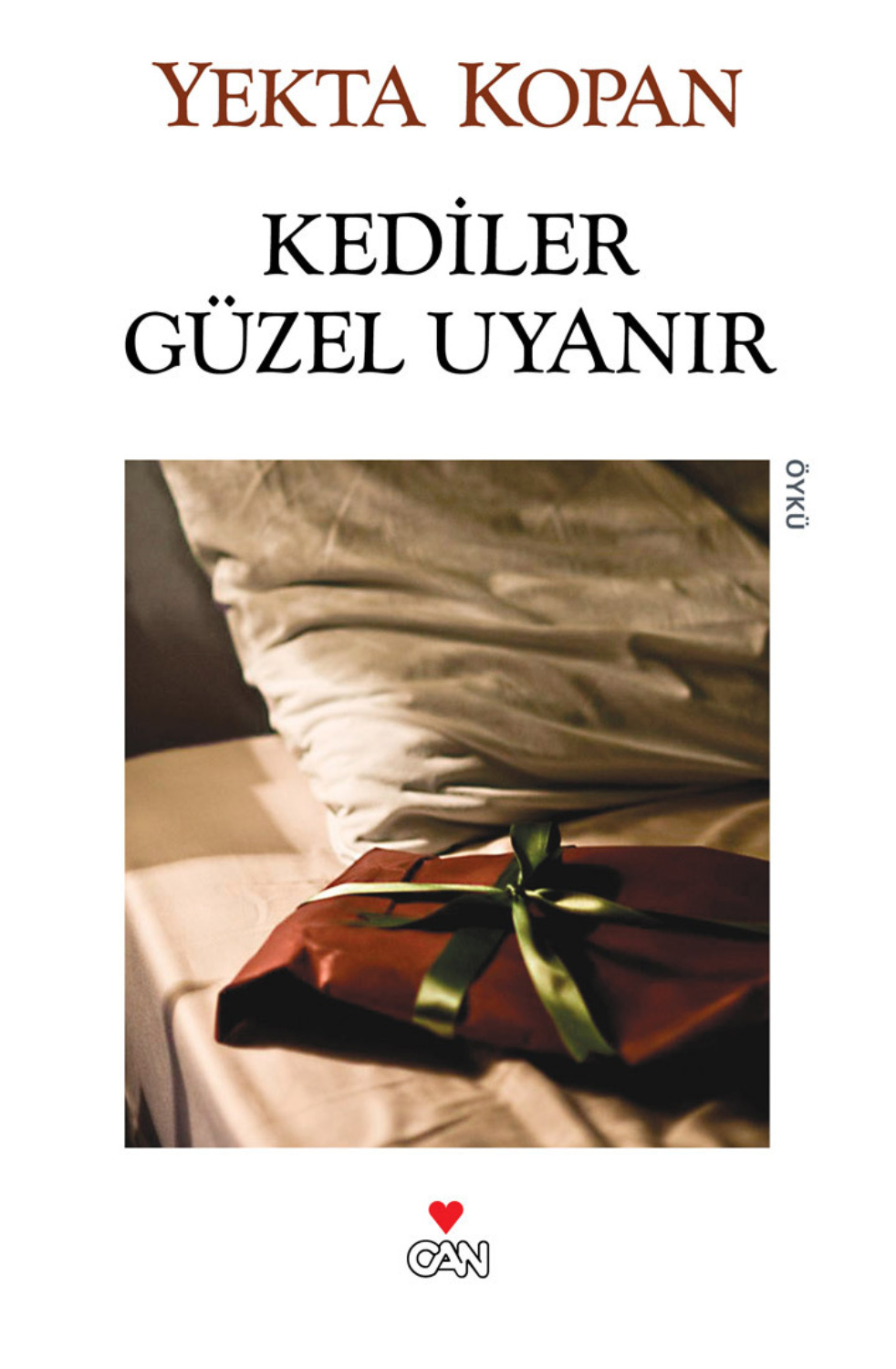 Обложка книги «Kediler Güzel Uyanır»