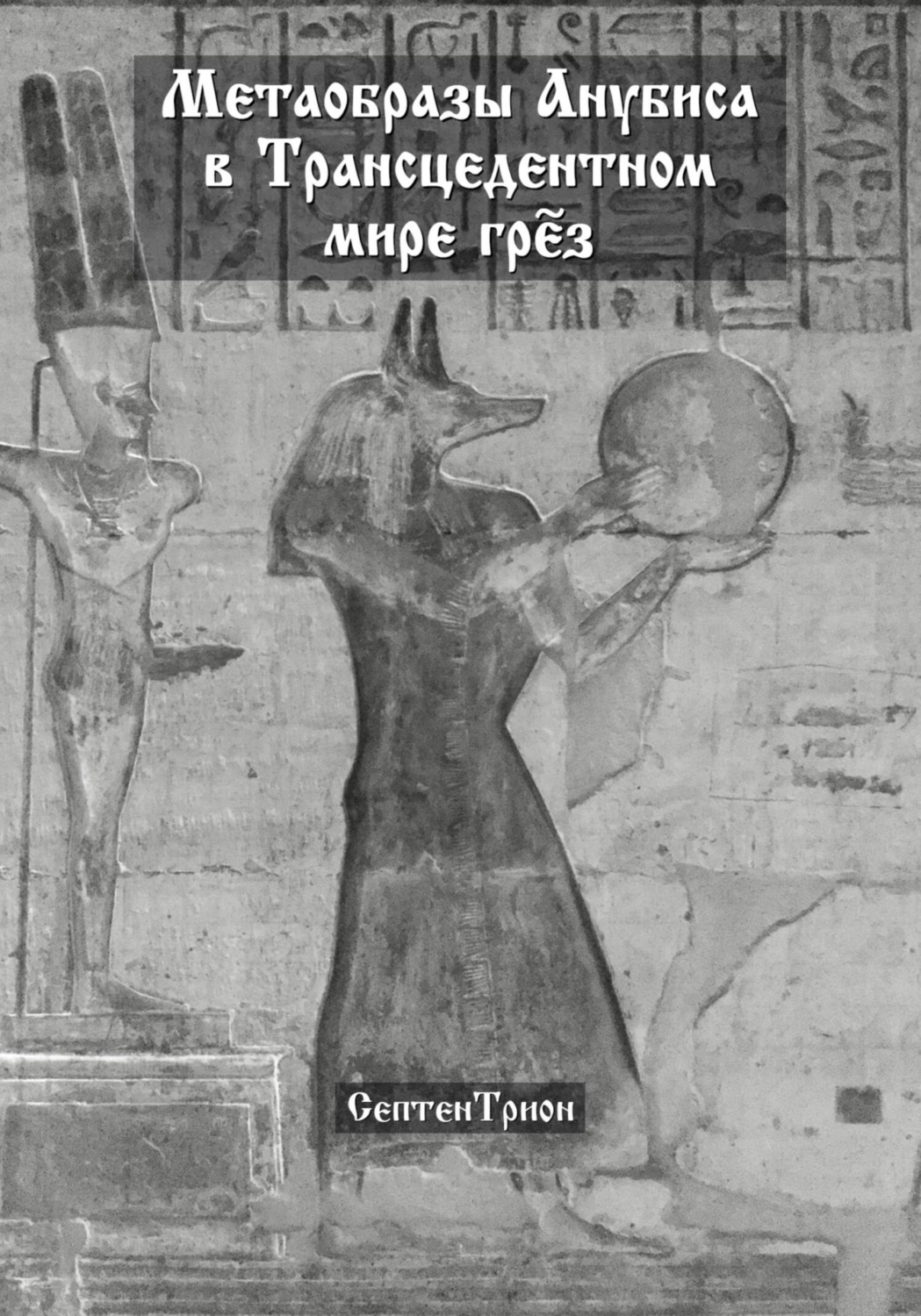 Обложка книги «Метаобразы Анубиса в трансцендентном мире грёз»