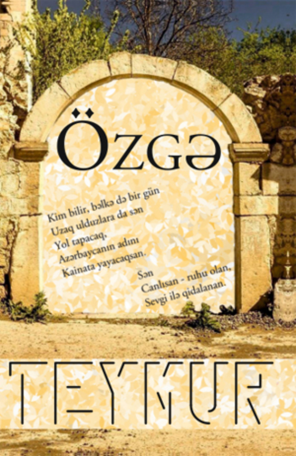 Обложка книги «Özgə»
