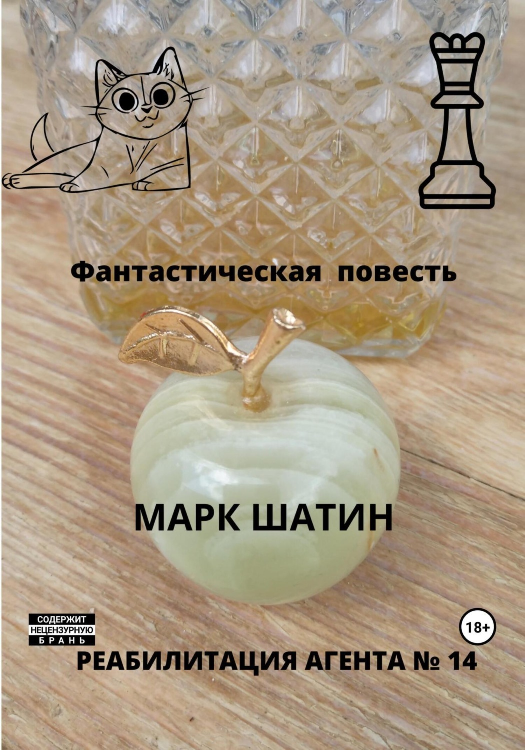 Обложка книги «Реабилитация агента № 14»