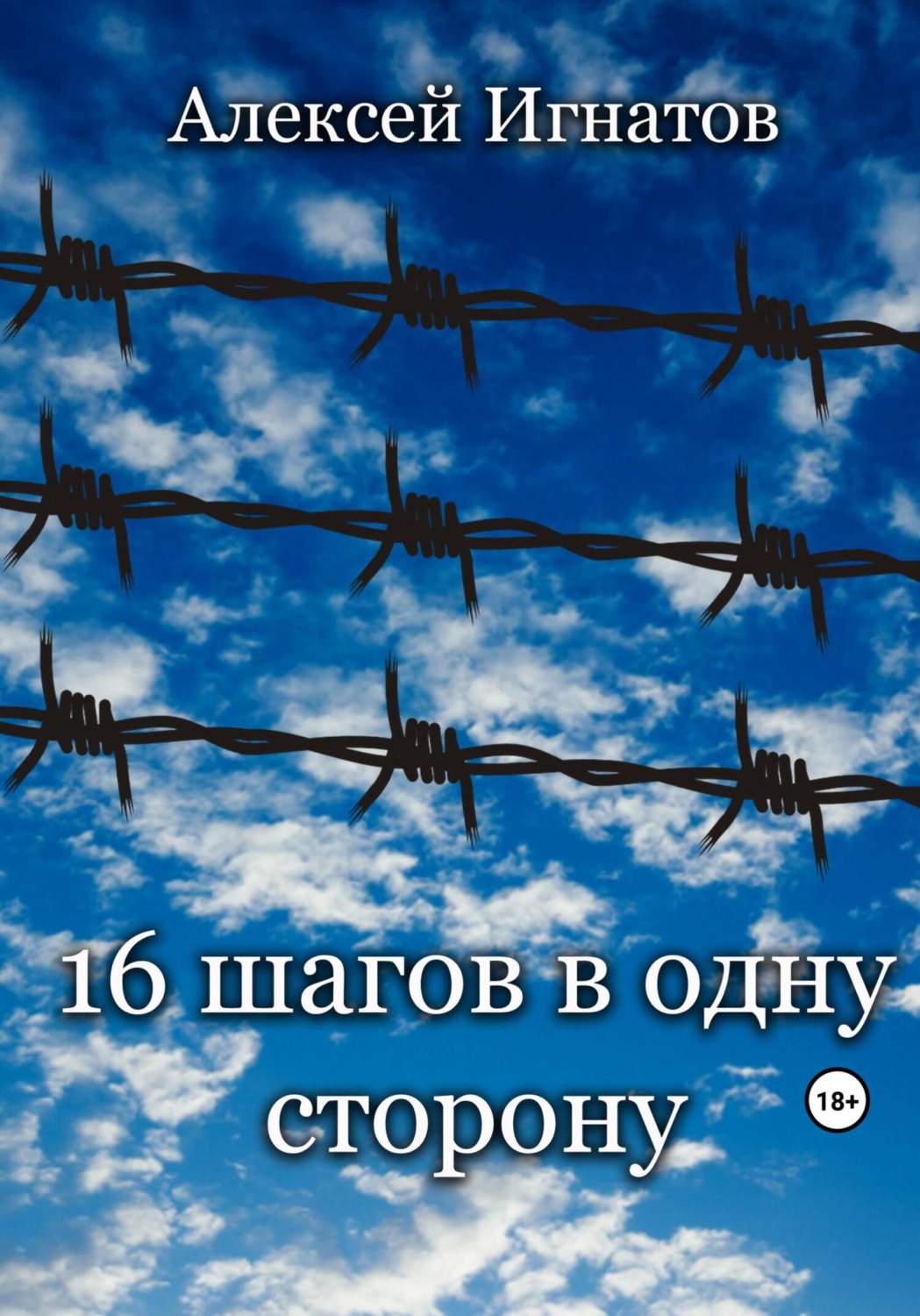 Обложка книги «Шестнадцать шагов в одну сторону»