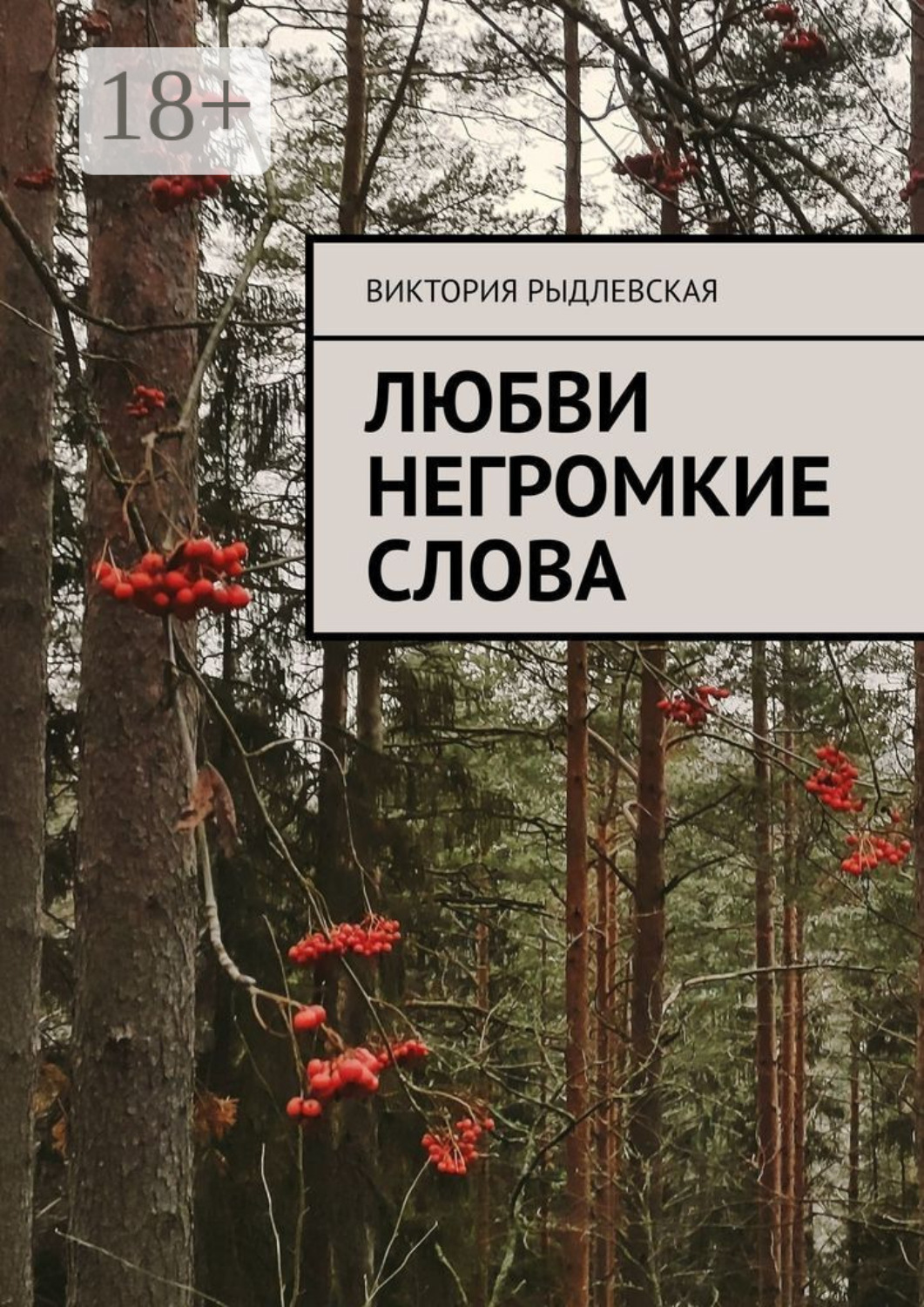 Обложка книги «Любви негромкие слова»